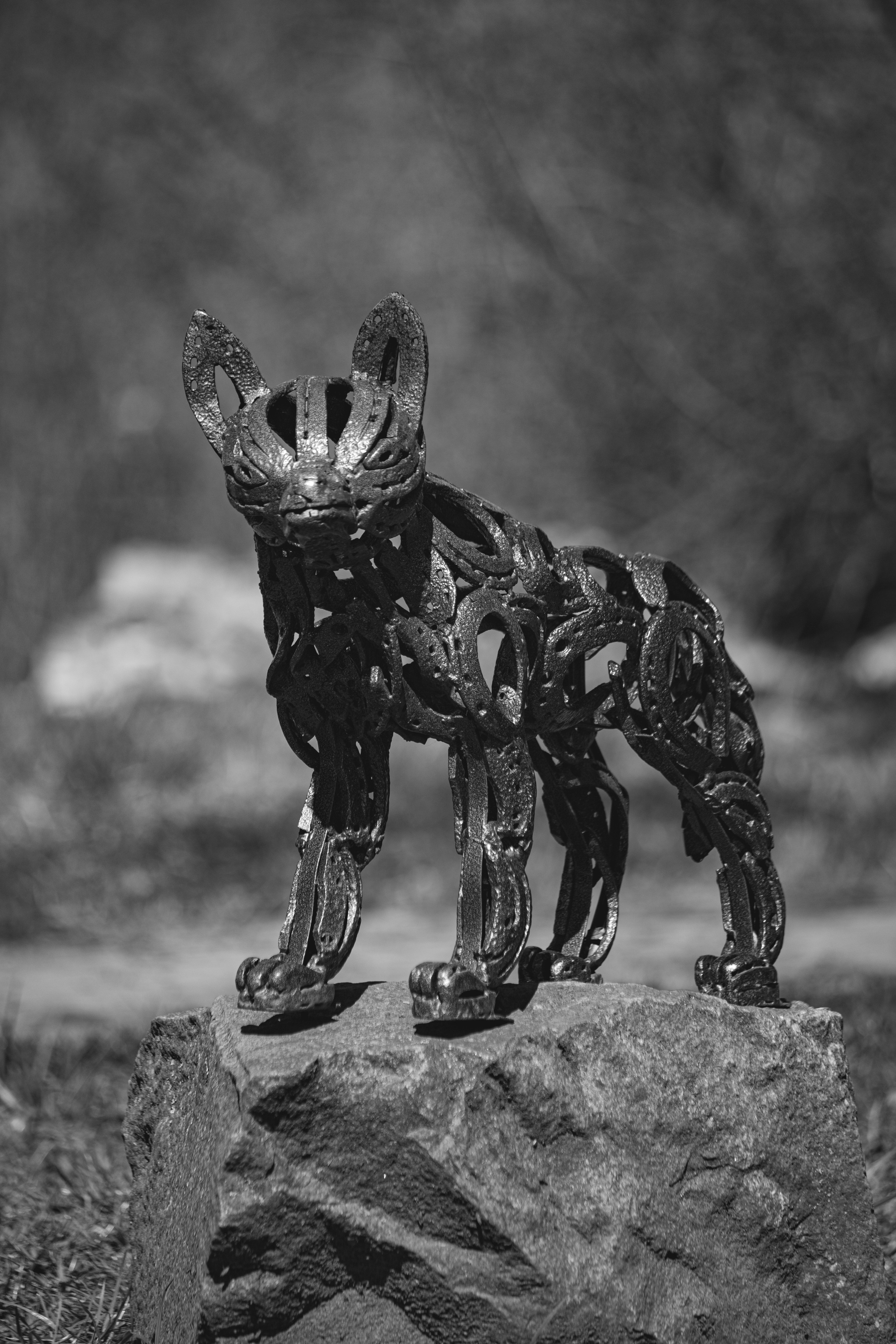 Ч \ Б. — Digital Noise —