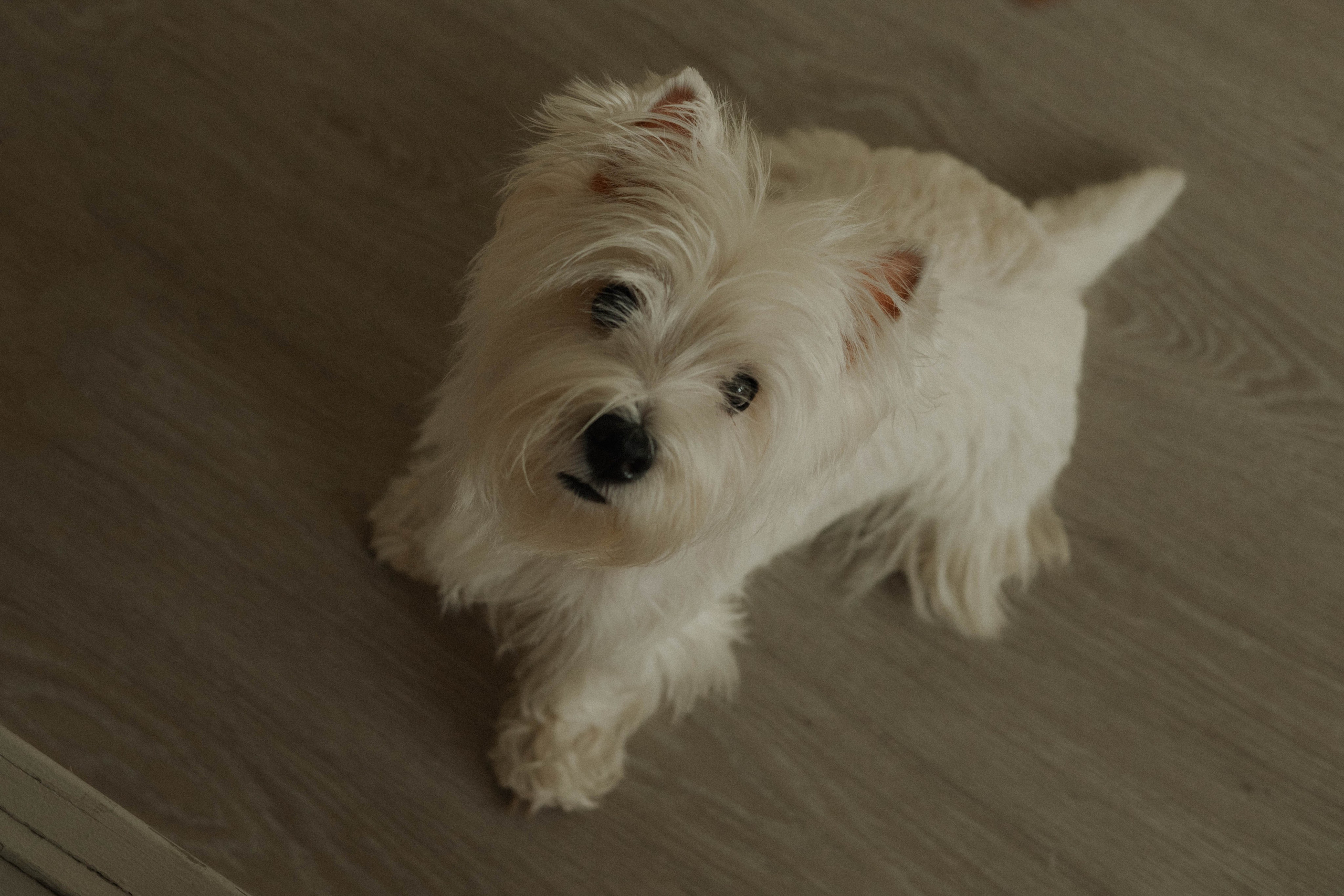 Семья Скрябиных. Семейный фотограф в Ижевске Даша Денисова