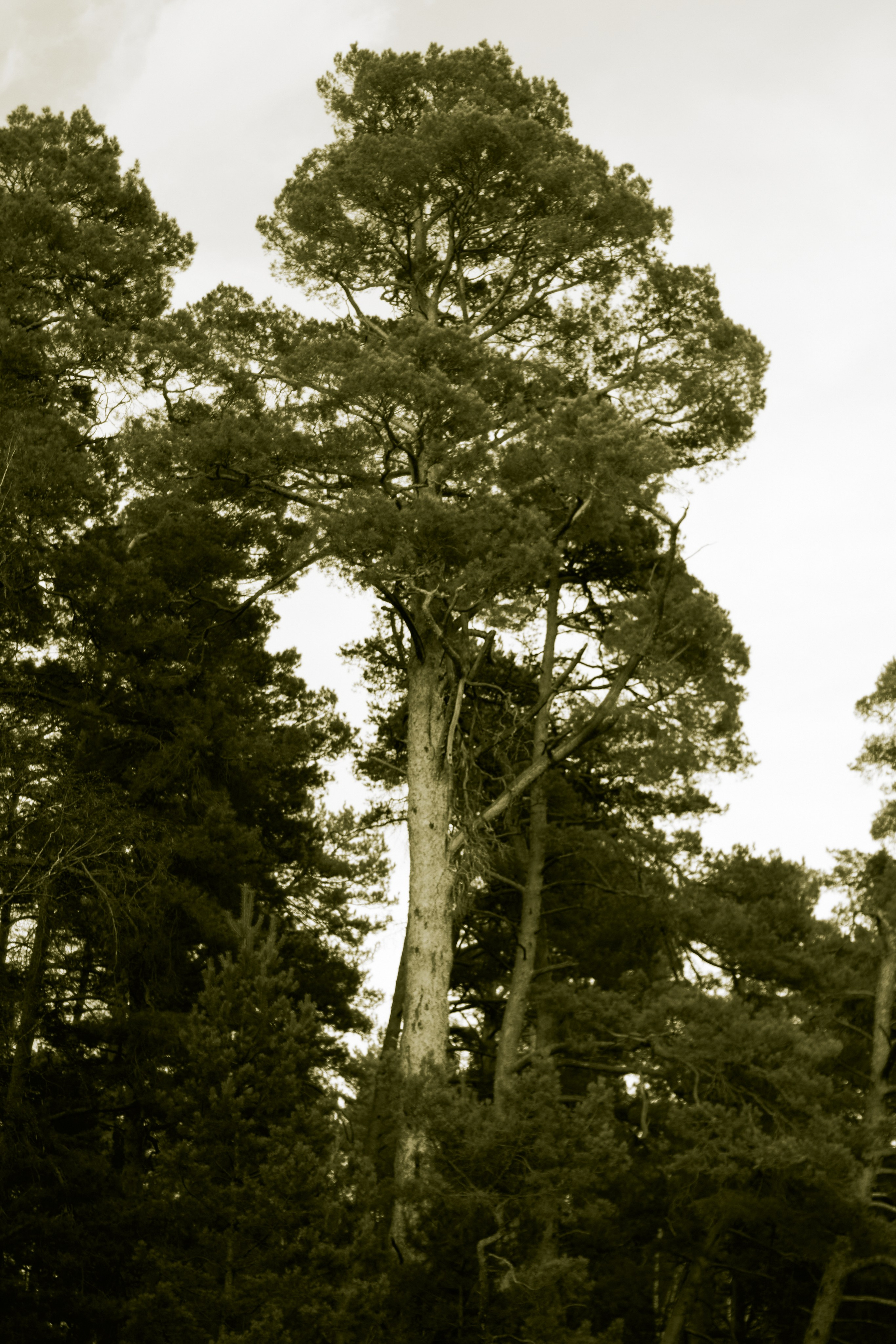  Фотограф: Ожерельев Лев