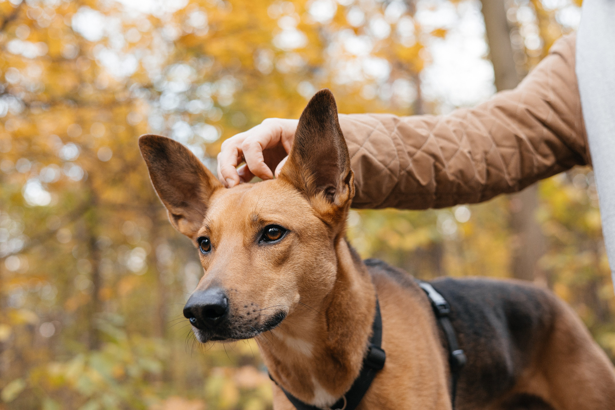 Нелли, Лёша, Рэй и Норд. Фотограф Анна Луценко Москва