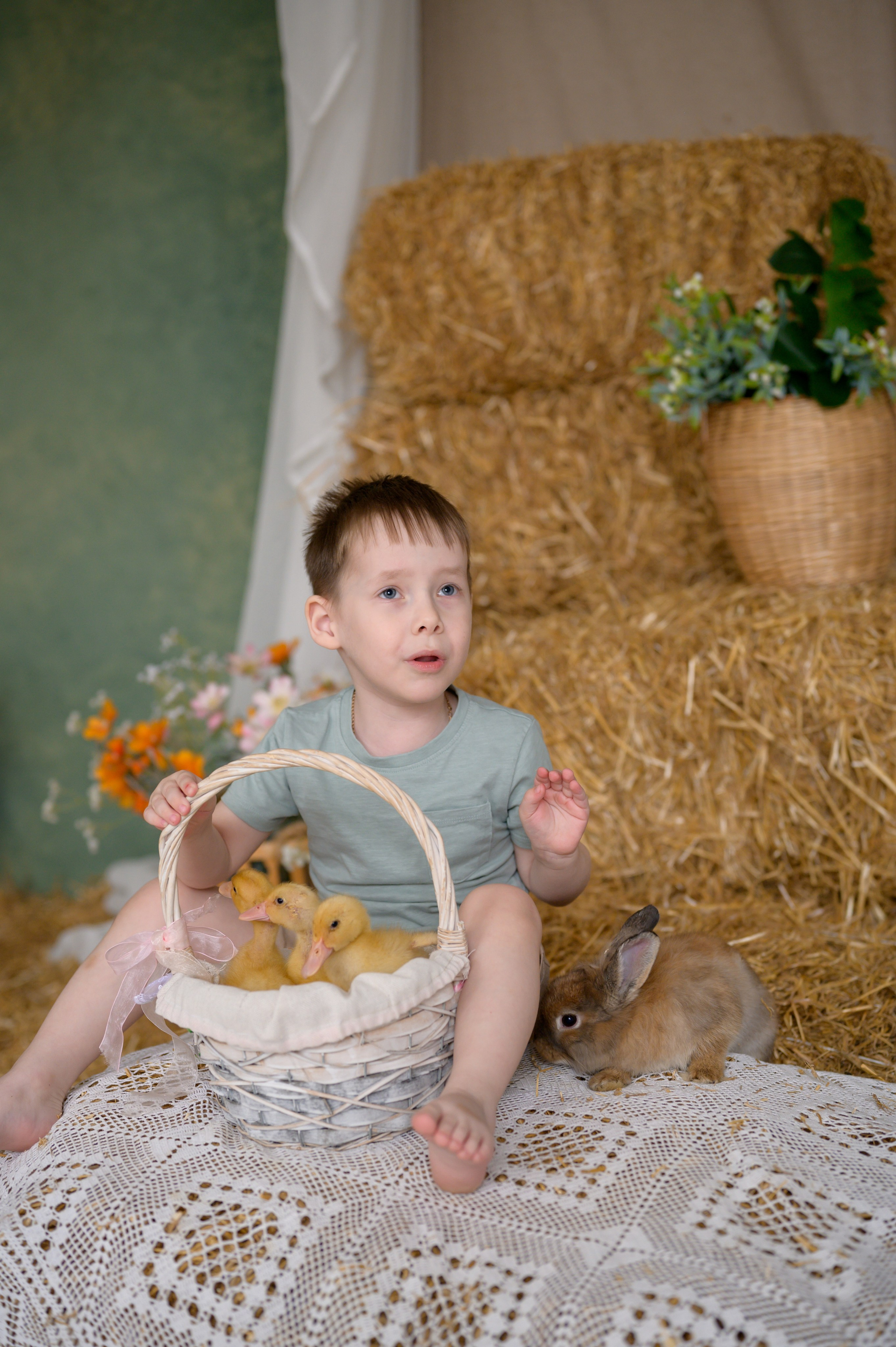 Фотостудия «Рояль» зал «Графика». Фотограф новорожденных, семейный детский в Тюмени Татьяна Морозова