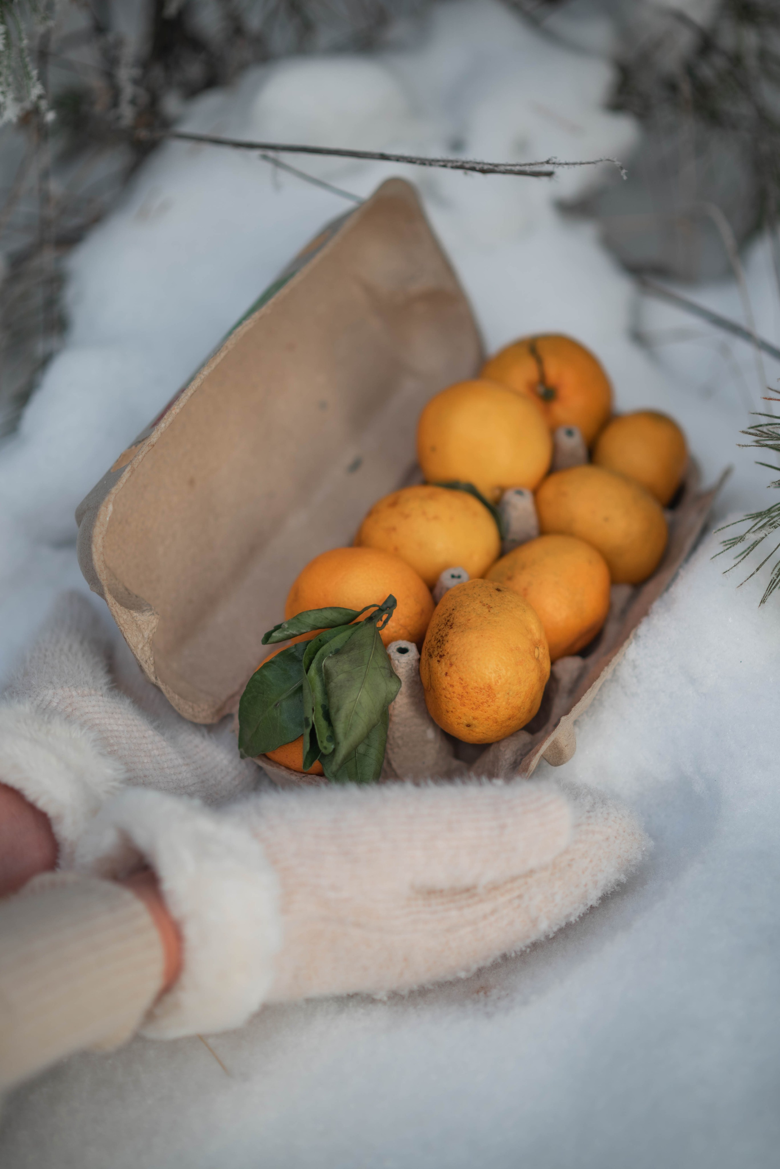 Анюта. Семейный и свадебный фотограф в Абакане Юлия Су