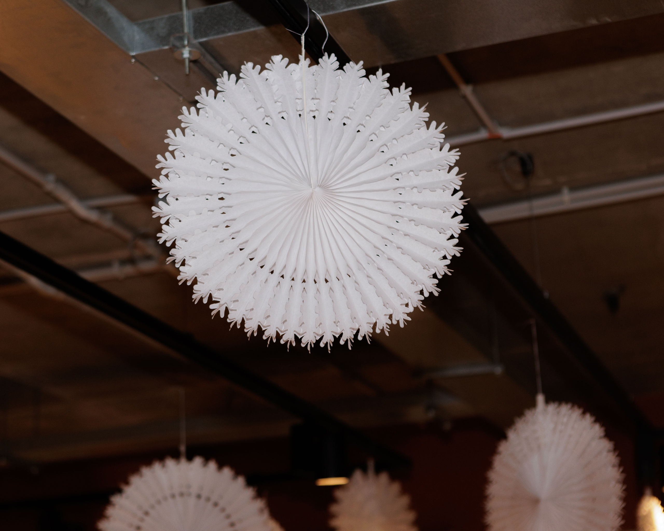 8-11 классы: Новый год в ФОКСФОРД. Выпускные альбомы и школьный фотограф в Подольске, Троицке, Щербинке, Москве и Московской области