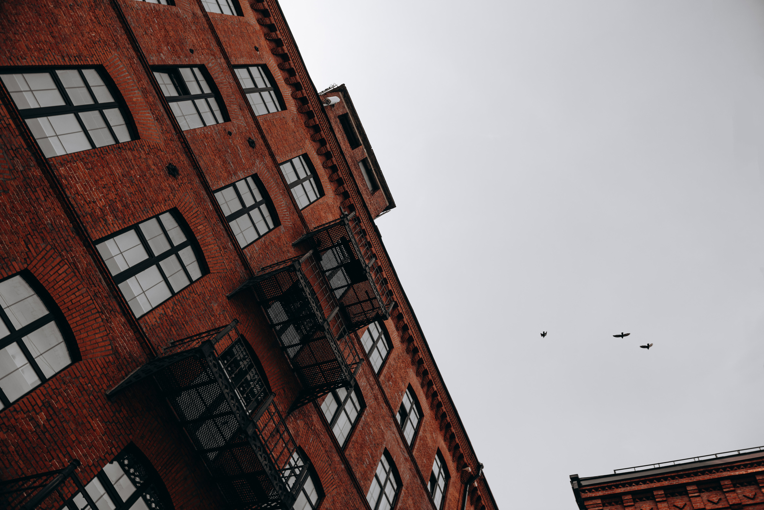 Вика - это все еще цветочки ...!. Dmitry Unik — ваш стильный фотограф