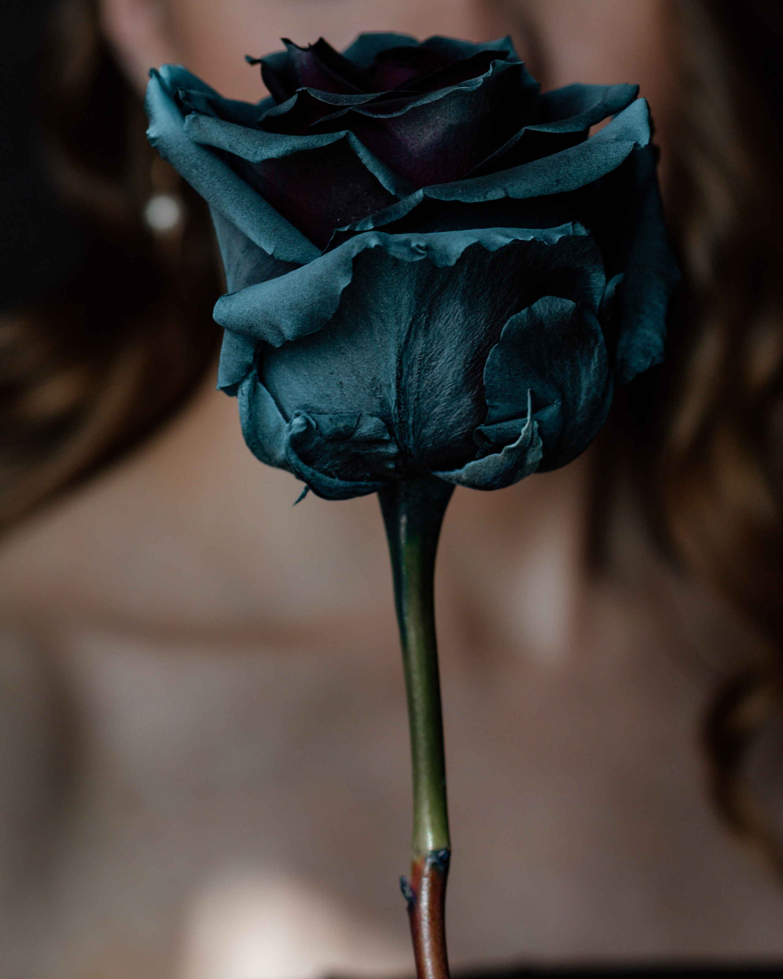 Алина. Ксения Цыз. Женский портретный фотограф в городе Екатеринбург