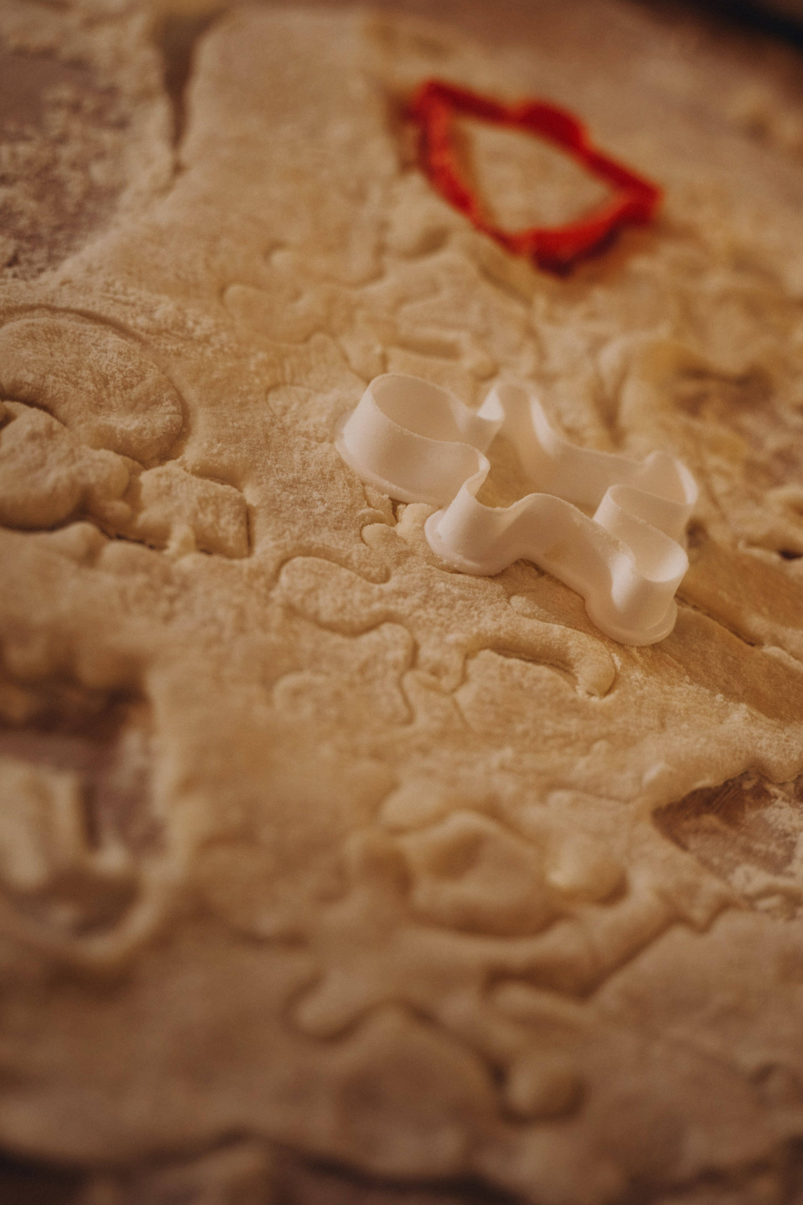 Семья Киприяновы, Новый год дома. Семейный фотограф в Белгороде Амелина Алина