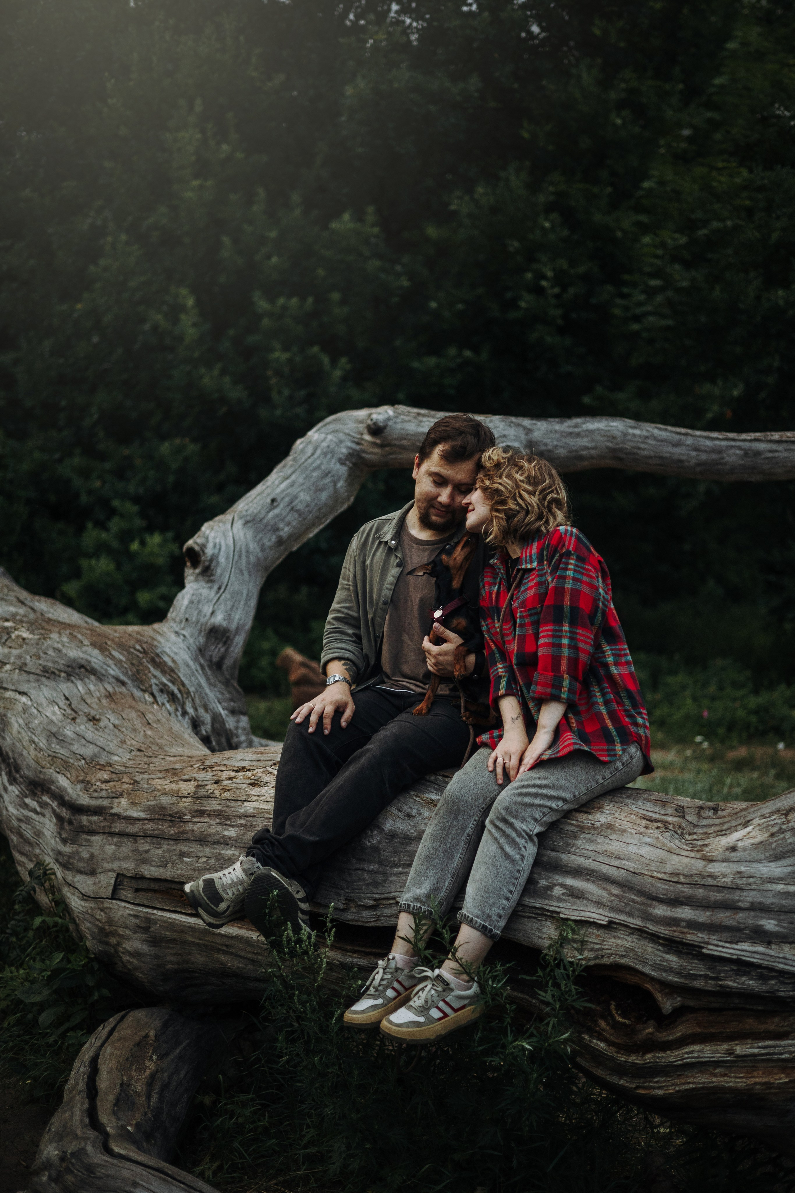 Сириус и его семья. Фотограф — Анималист | Санкт-Петербург