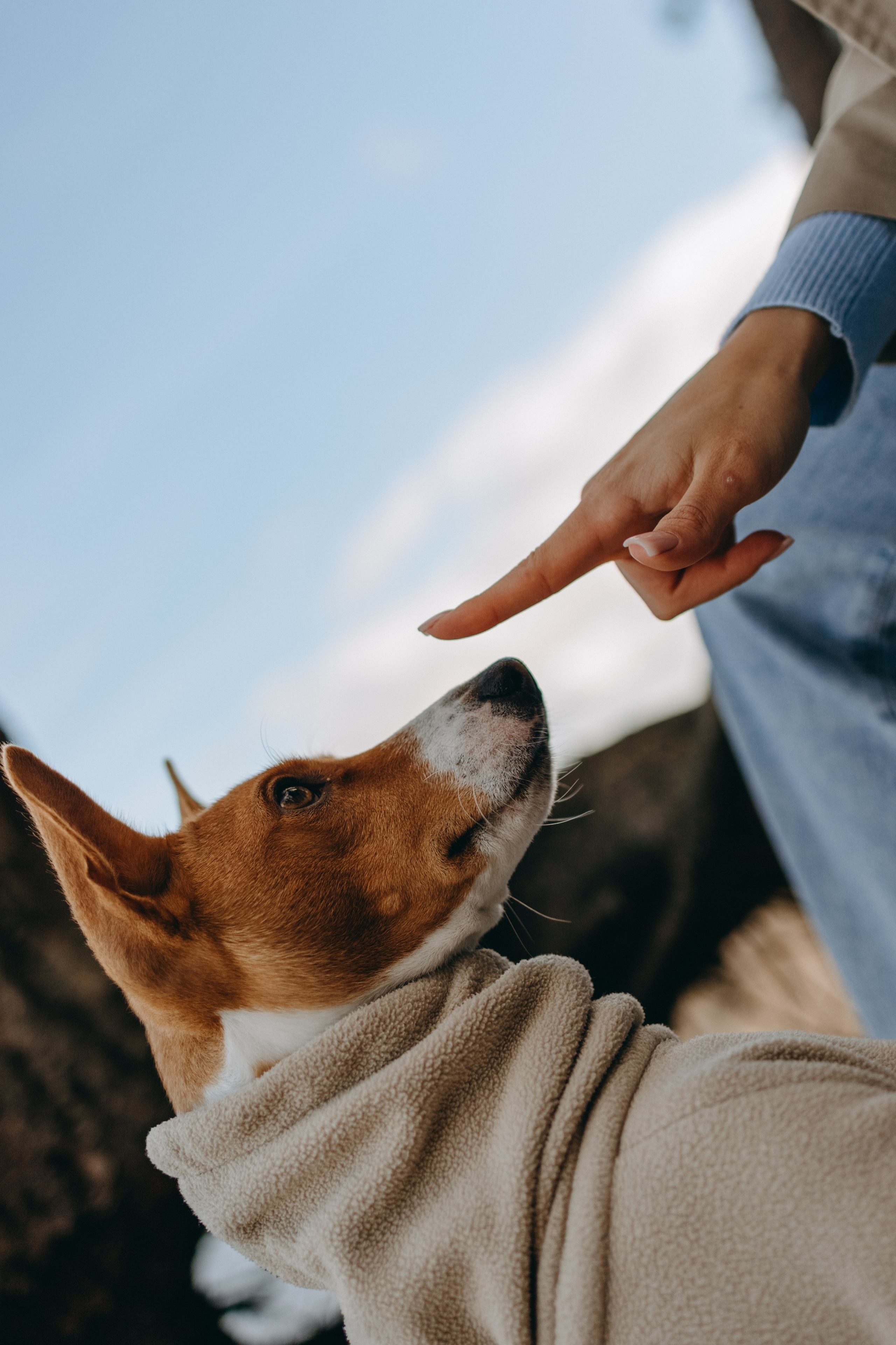 Алиса и Лео. Фотограф — Анималист | Санкт-Петербург