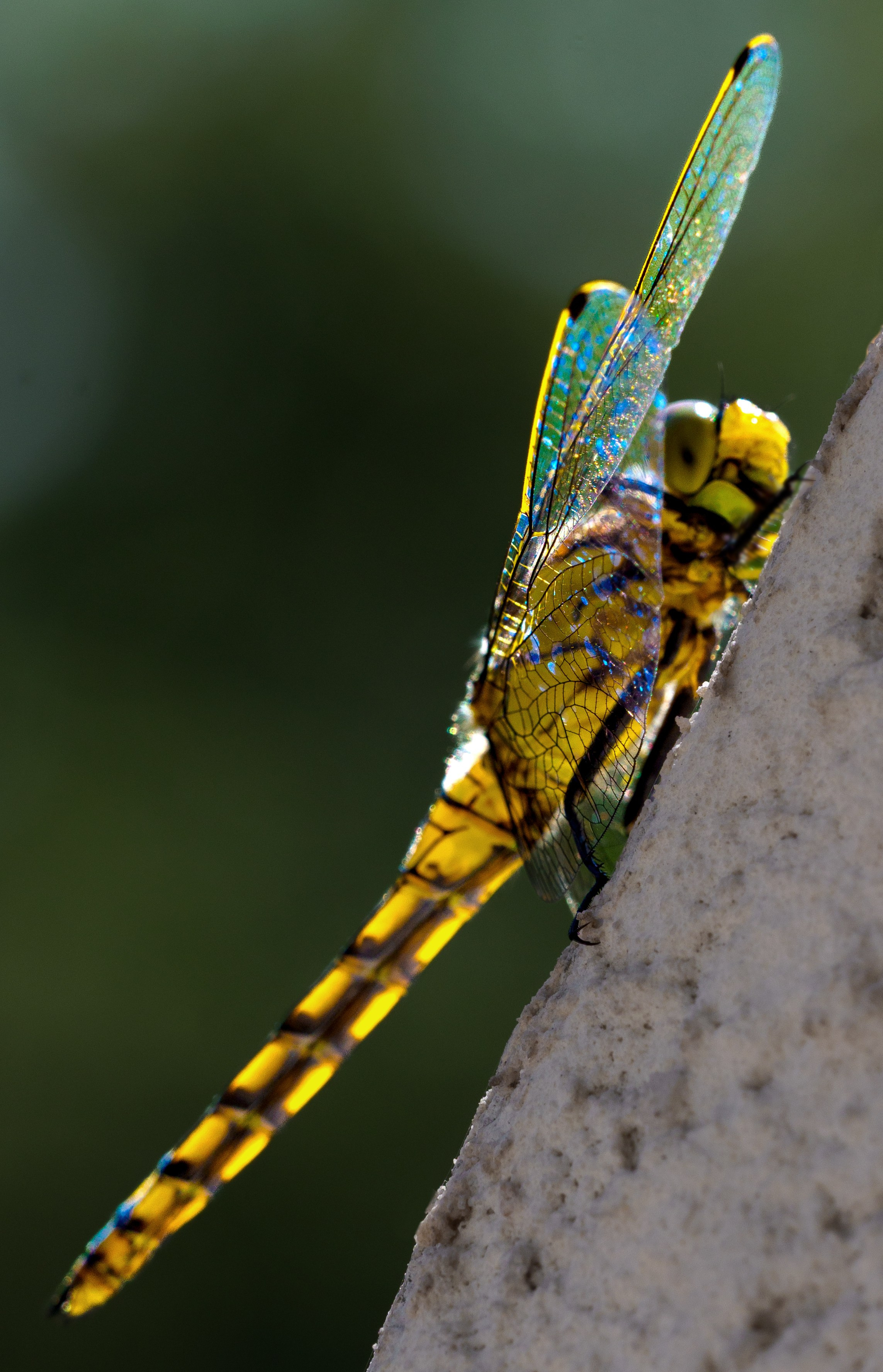 Стрит и пейзажи. Главная