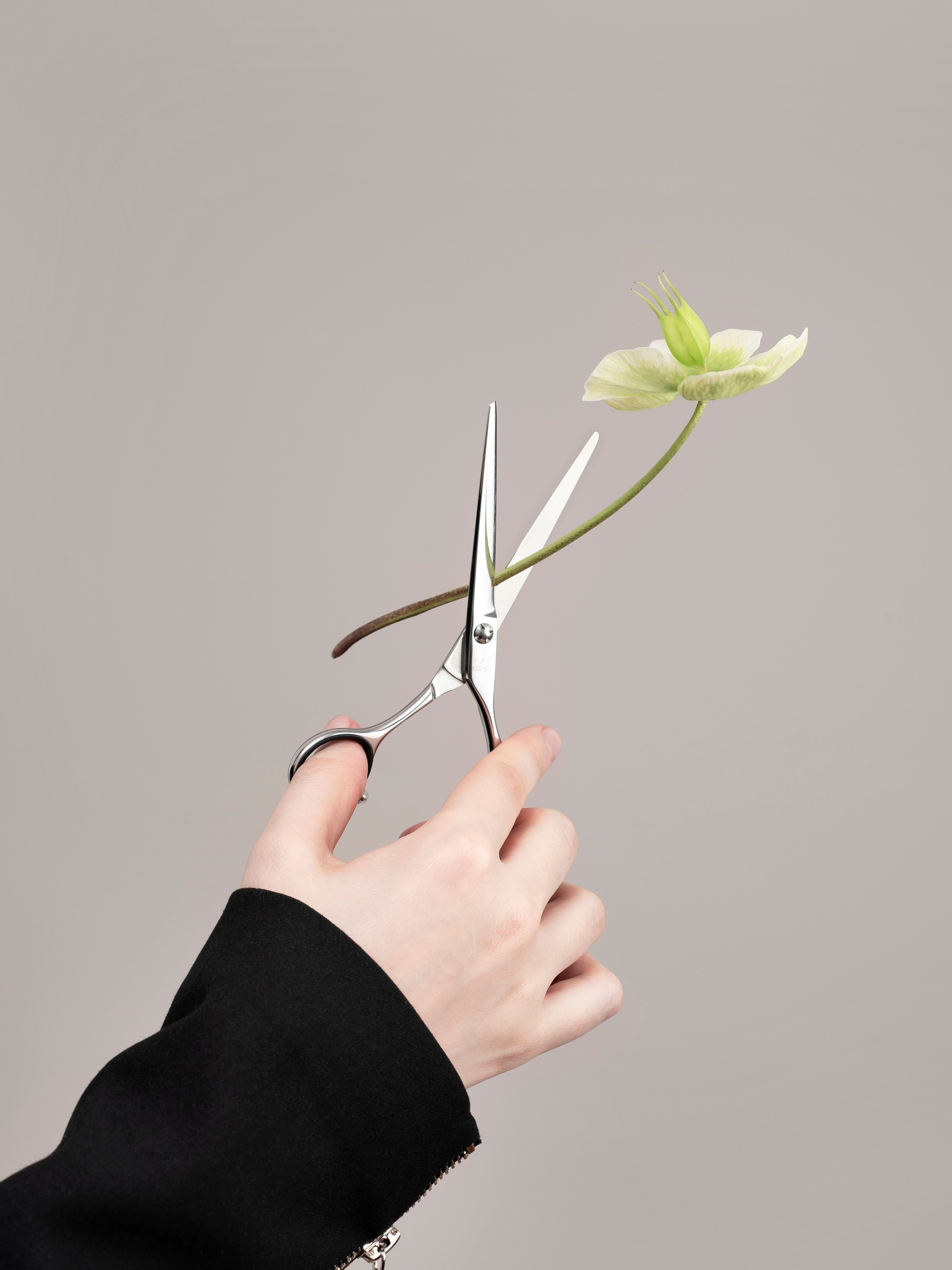 Фотосъемка парикмахерских инструментов. Предметный фотограф Москва и МО Надежда Чуднова