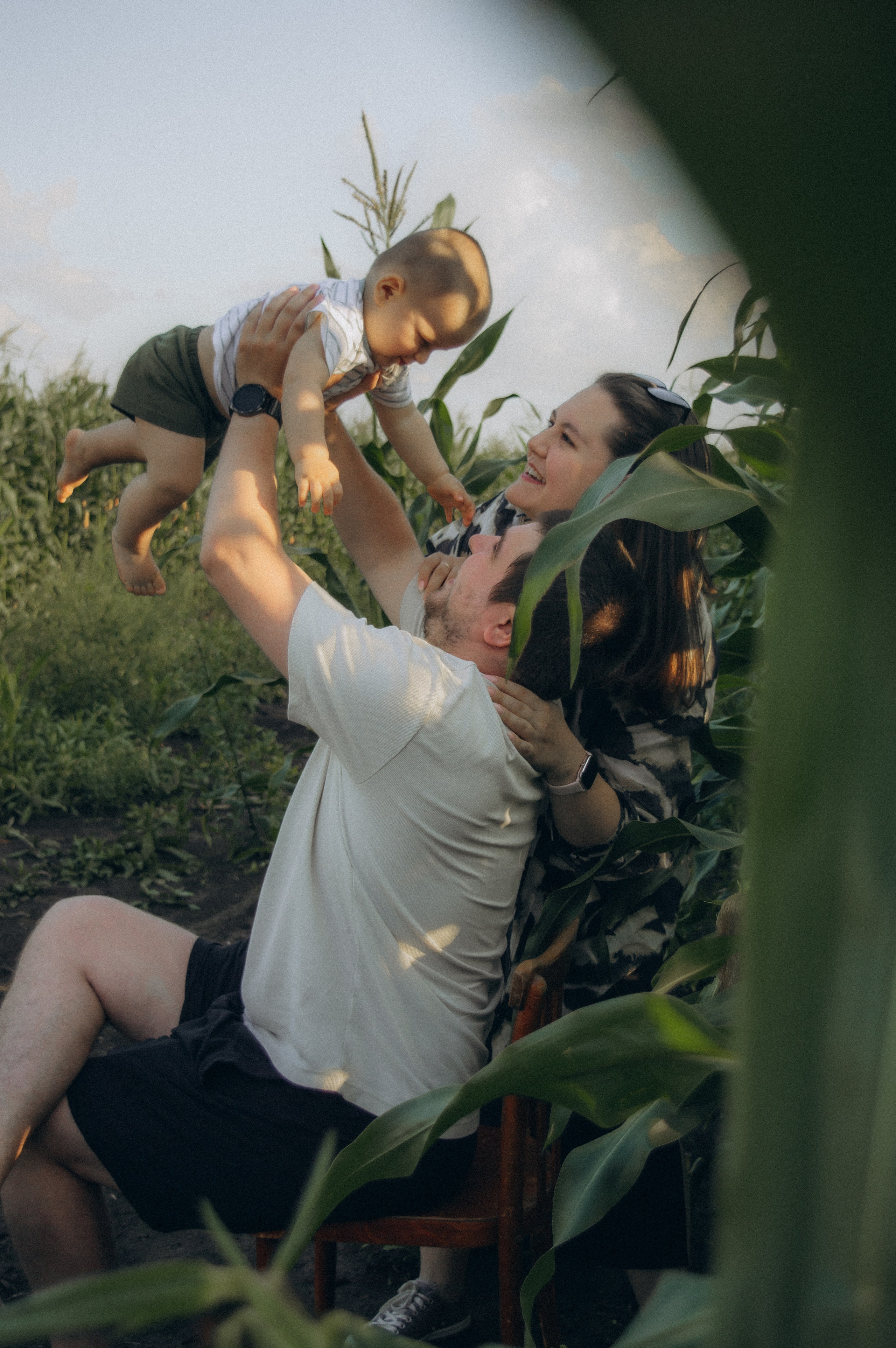 Лето, семья, кукуруза. Семейная летняя фотосессия. Юлия Левада Семейный и женский фотограф