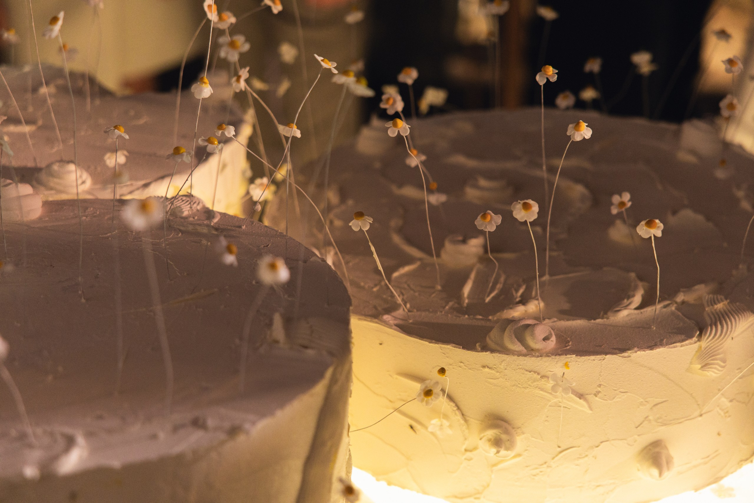 Iliya | Elizaveta. Свадебный и репортажный фотограф Анастасия Алашеева