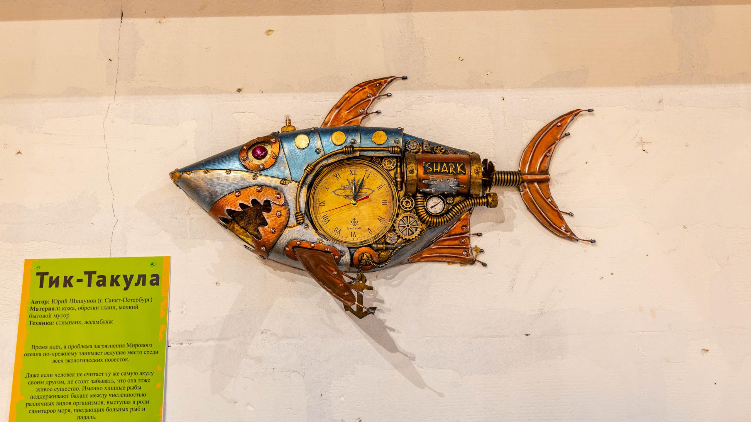 2024 01 Калининград (Светлогорск, Зеленоградск). Фотографии