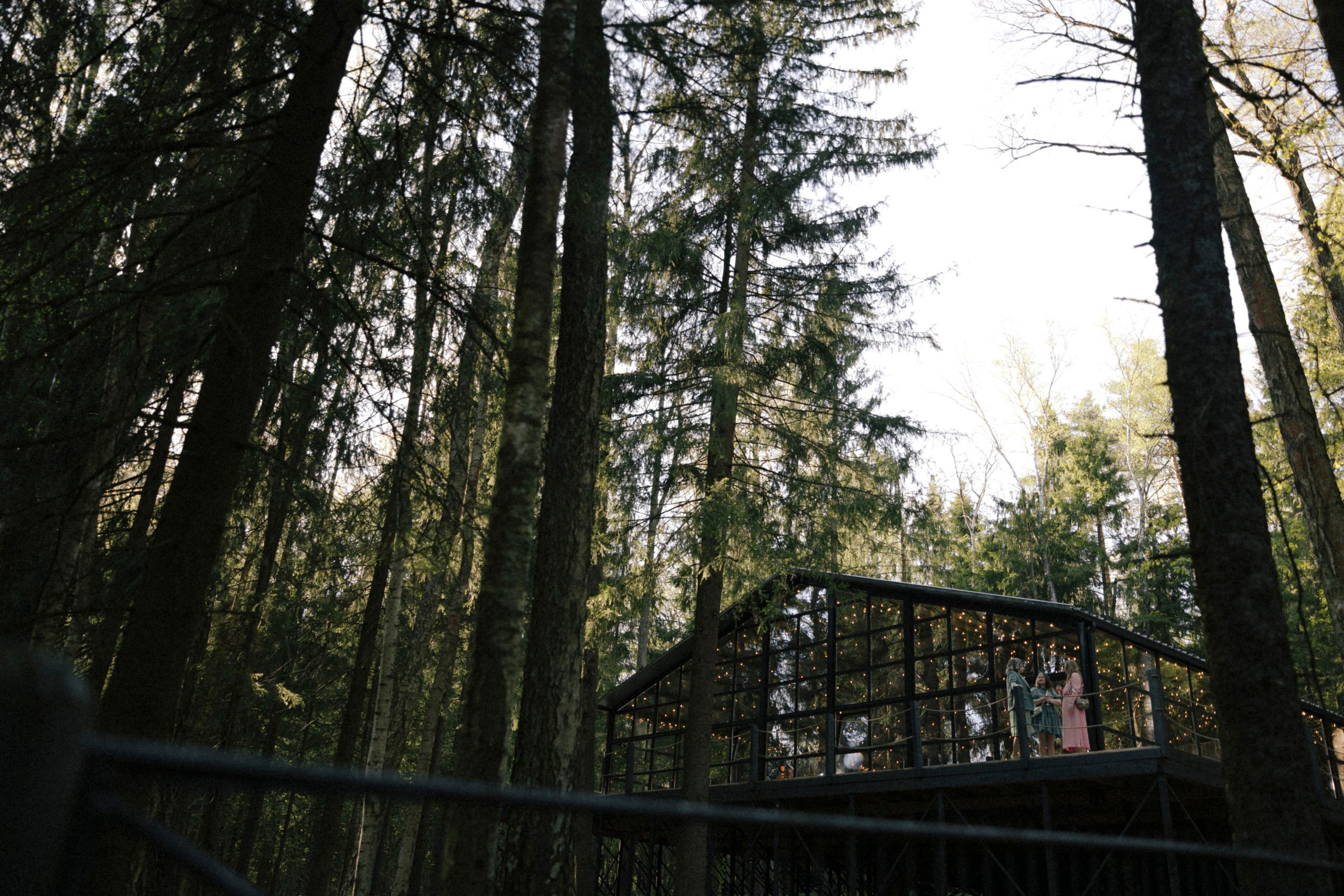 Мелодия моей любви. Свадебный фотограф в Москве