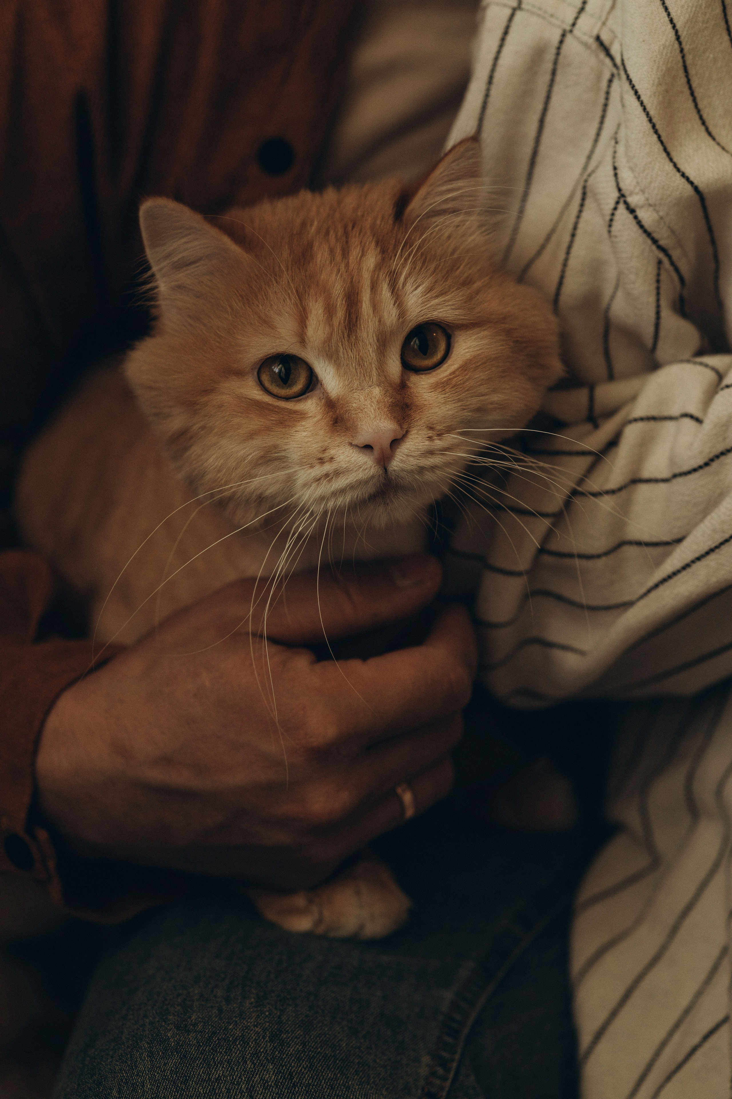 История для Ксюши и Паши. Семейный и свадебный фотограф в Чите Мария Авдеева