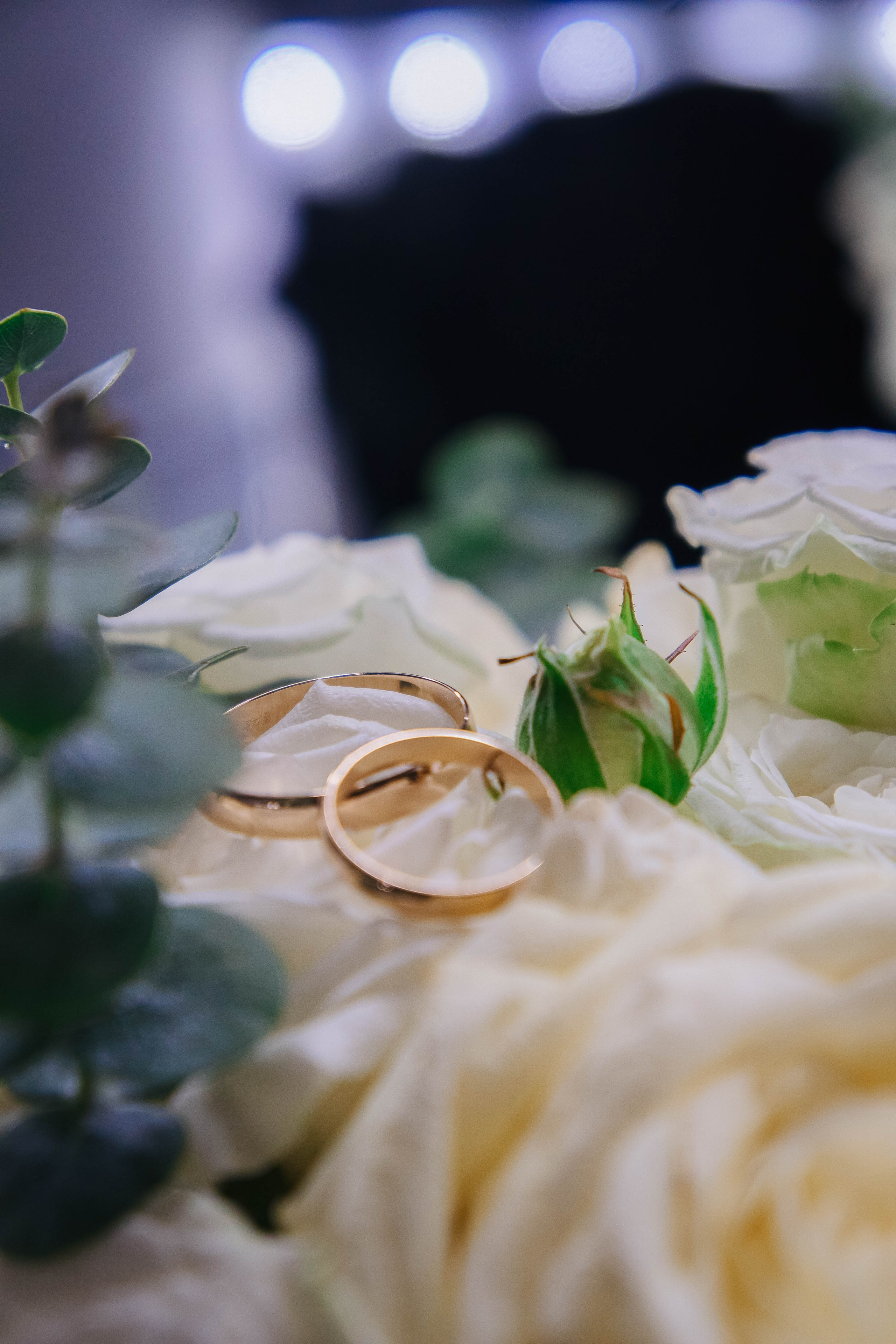 Павел & Анастасия. Фотограф / видеограф в Москве и Сочи Sofia Riversong