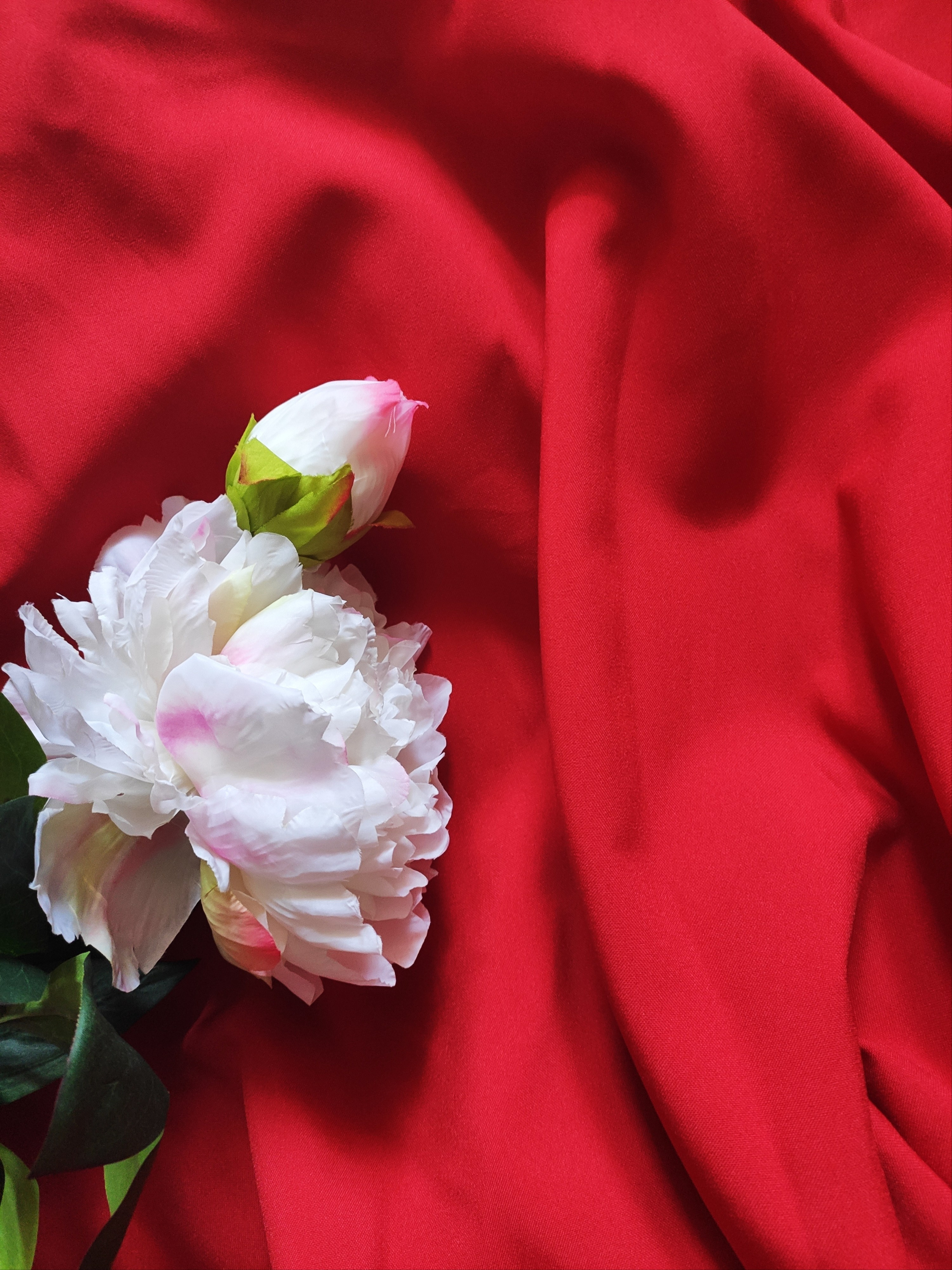 Фоны. School Photographer In Astana Tabakova Natalya