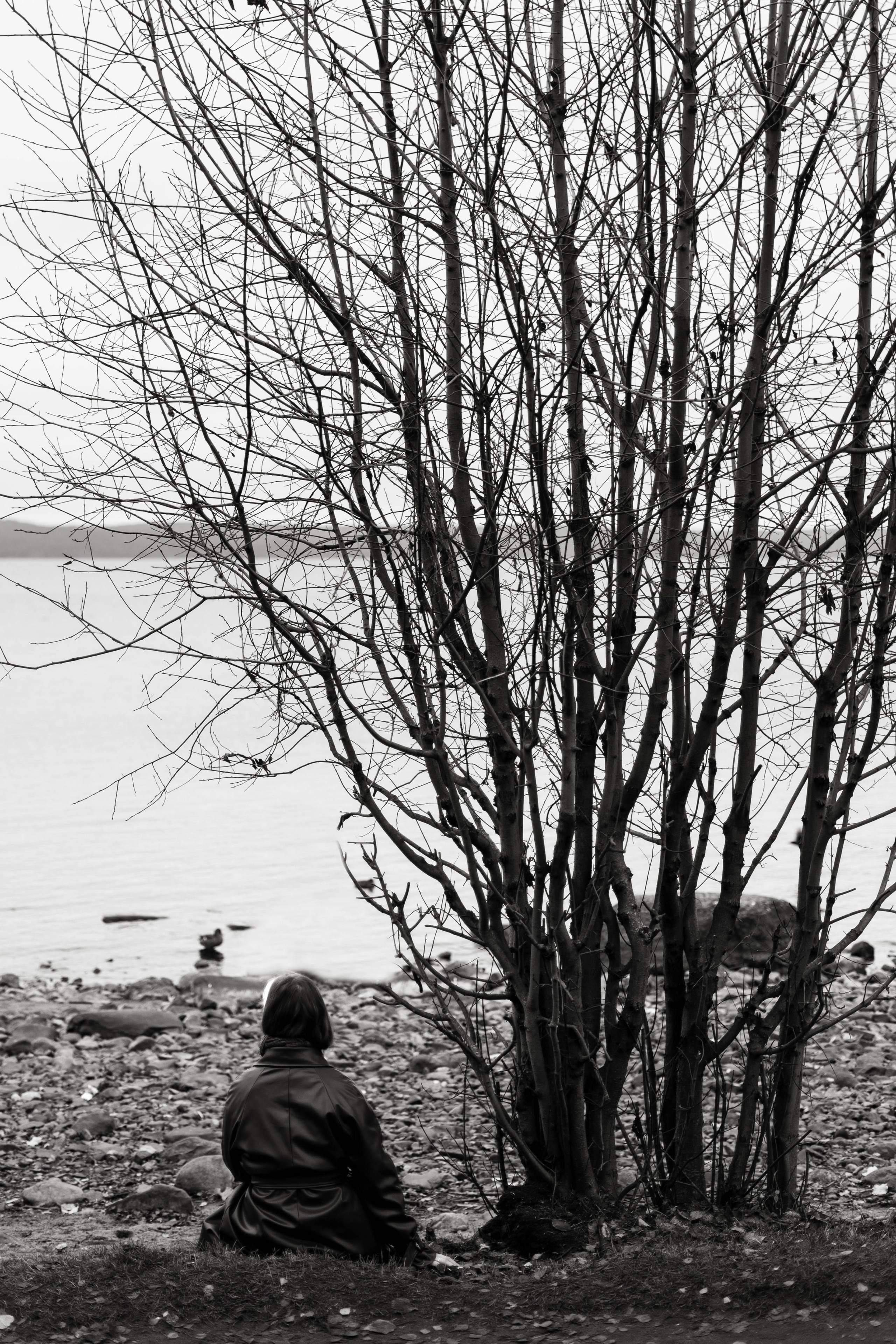 Одиночество (София). Фотограф Ирина Иванова