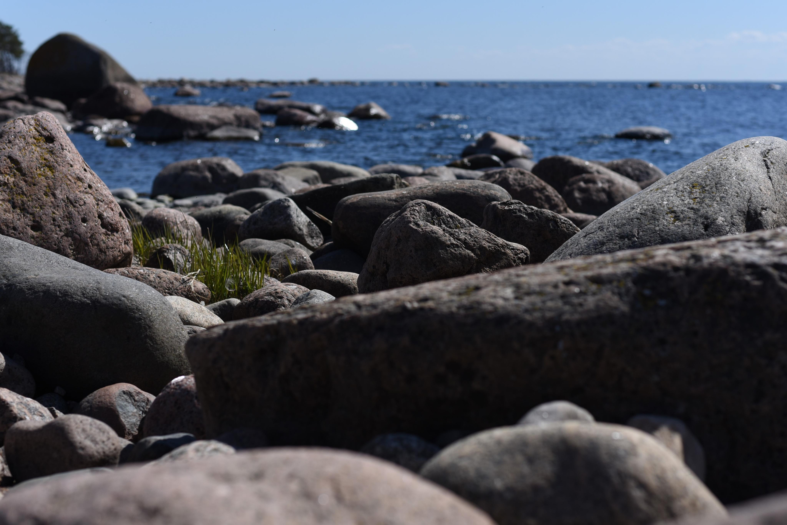 Семейная съемка на природе. Папа и сын. Женский и семейный фотограф Людмила Богачкина