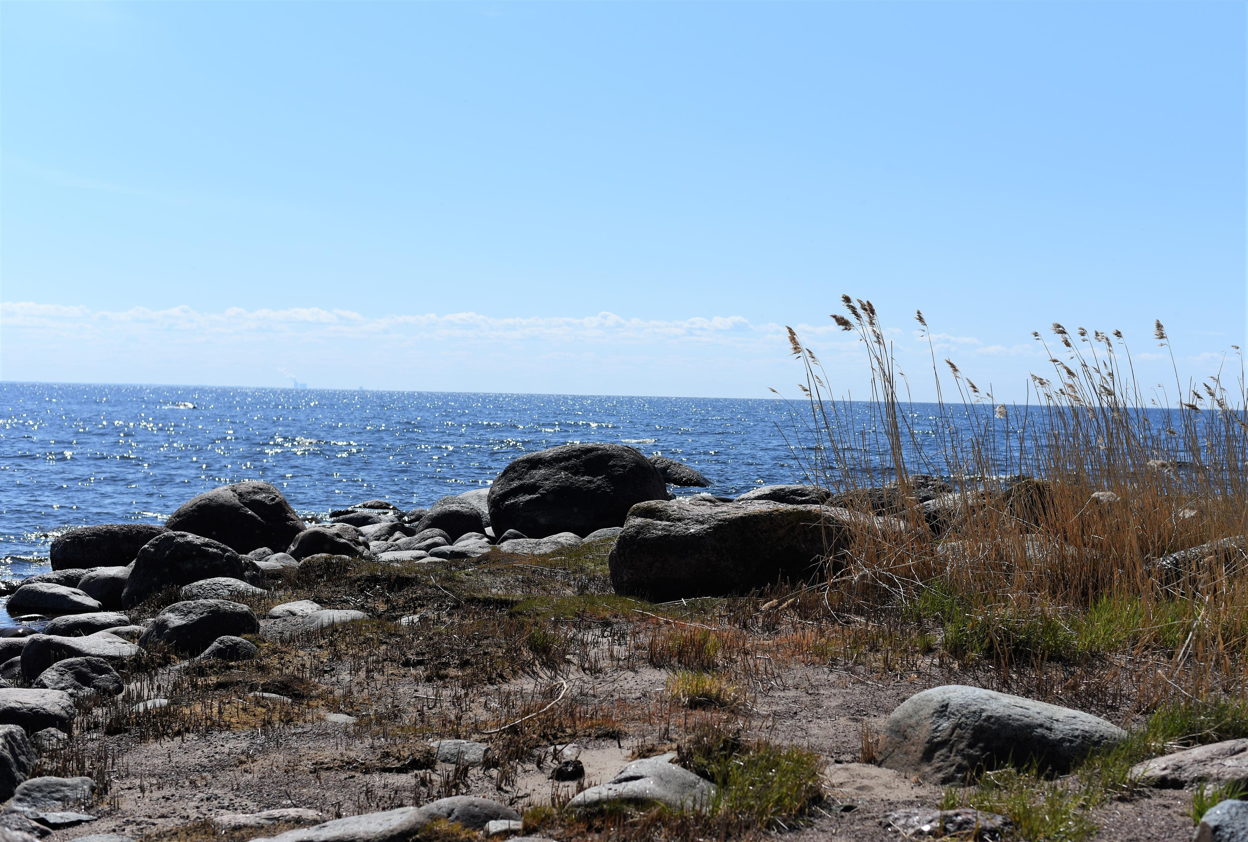 Семейная съемка на природе. Папа и сын. Женский и семейный фотограф Людмила Богачкина