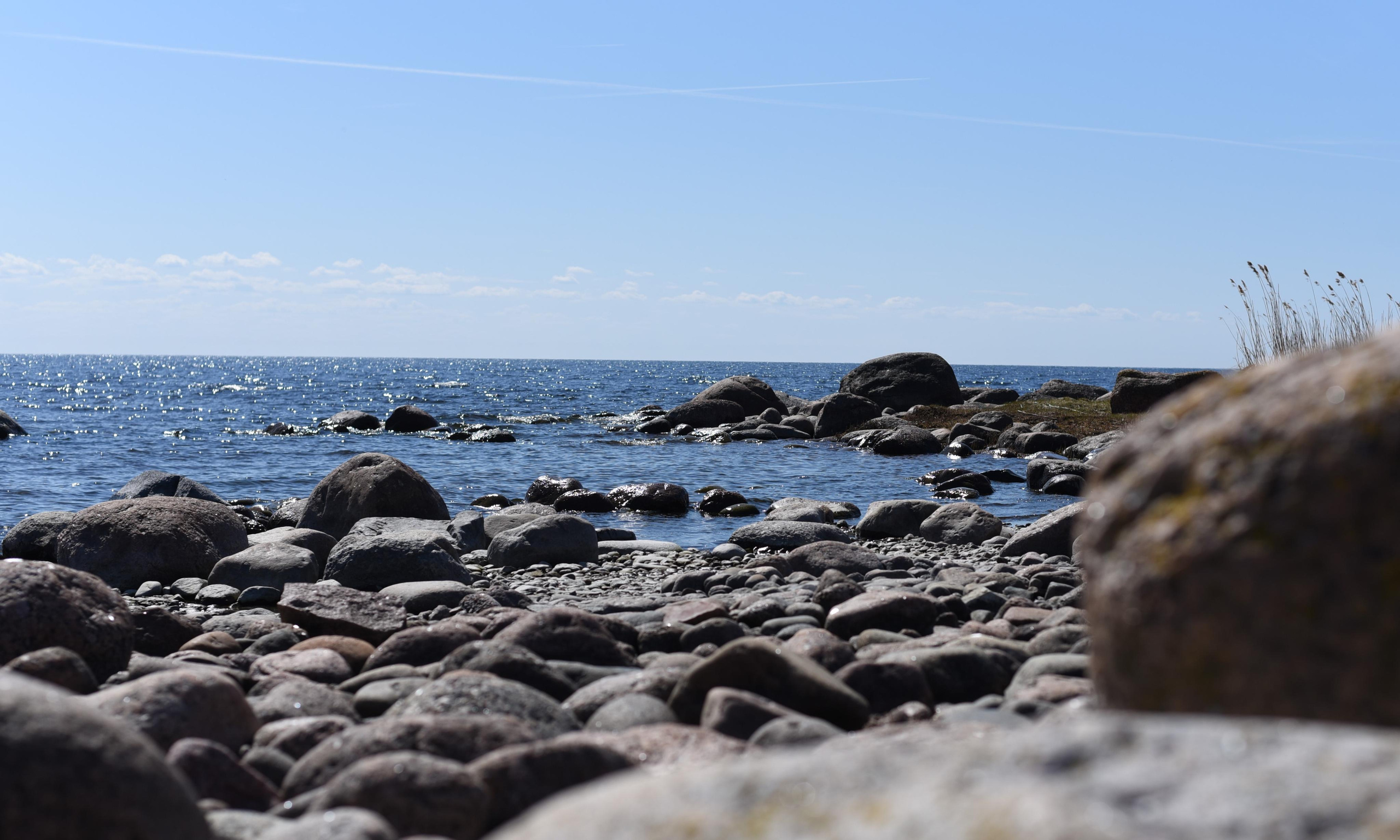 Семейная съемка на природе. Папа и сын. Женский и семейный фотограф Людмила Богачкина