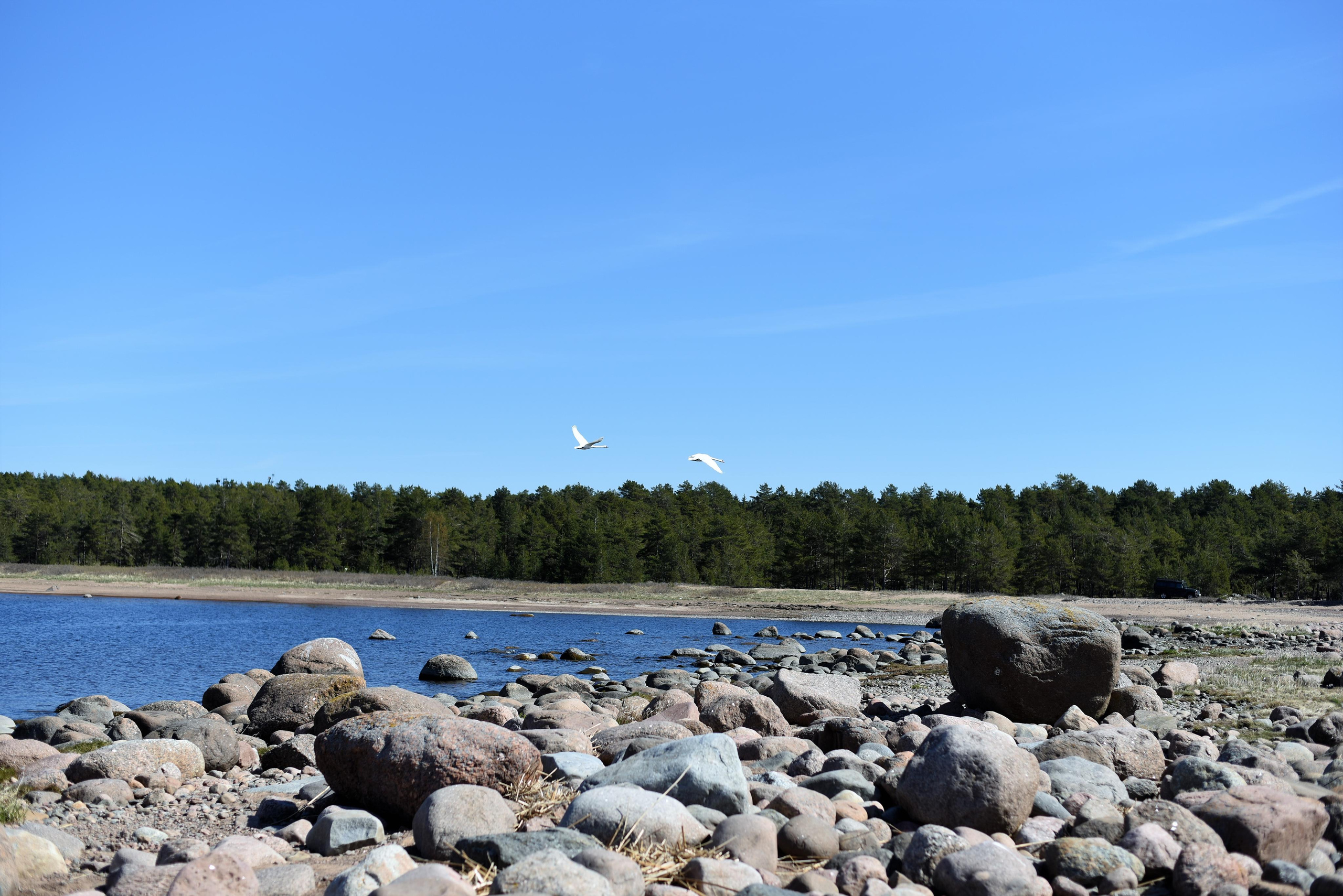 Семейная съемка на природе. Папа и сын. Женский и семейный фотограф Людмила Богачкина