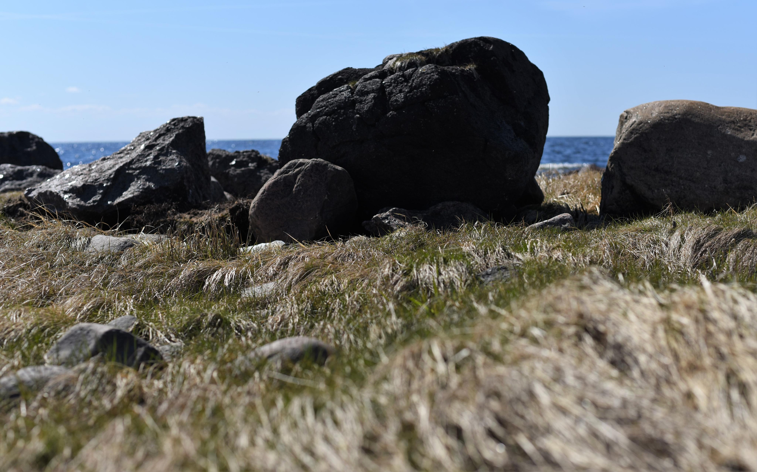 Семейная съемка на природе. Папа и сын. Женский и семейный фотограф Людмила Богачкина
