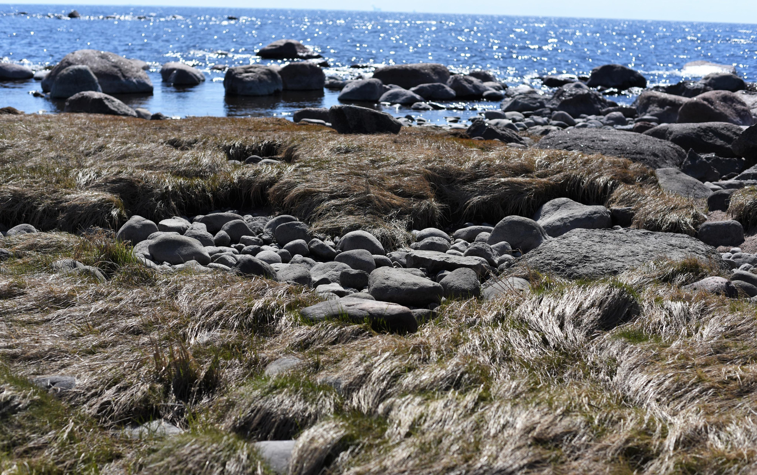 Семейная съемка на природе. Папа и сын. Женский и семейный фотограф Людмила Богачкина