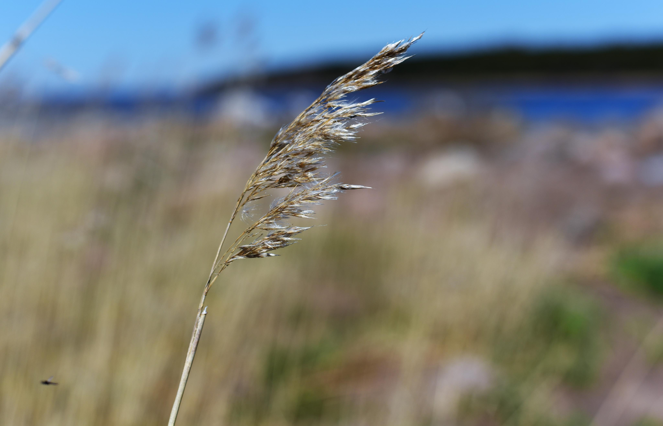 Семейная съемка на природе. Папа и сын. Женский и семейный фотограф Людмила Богачкина