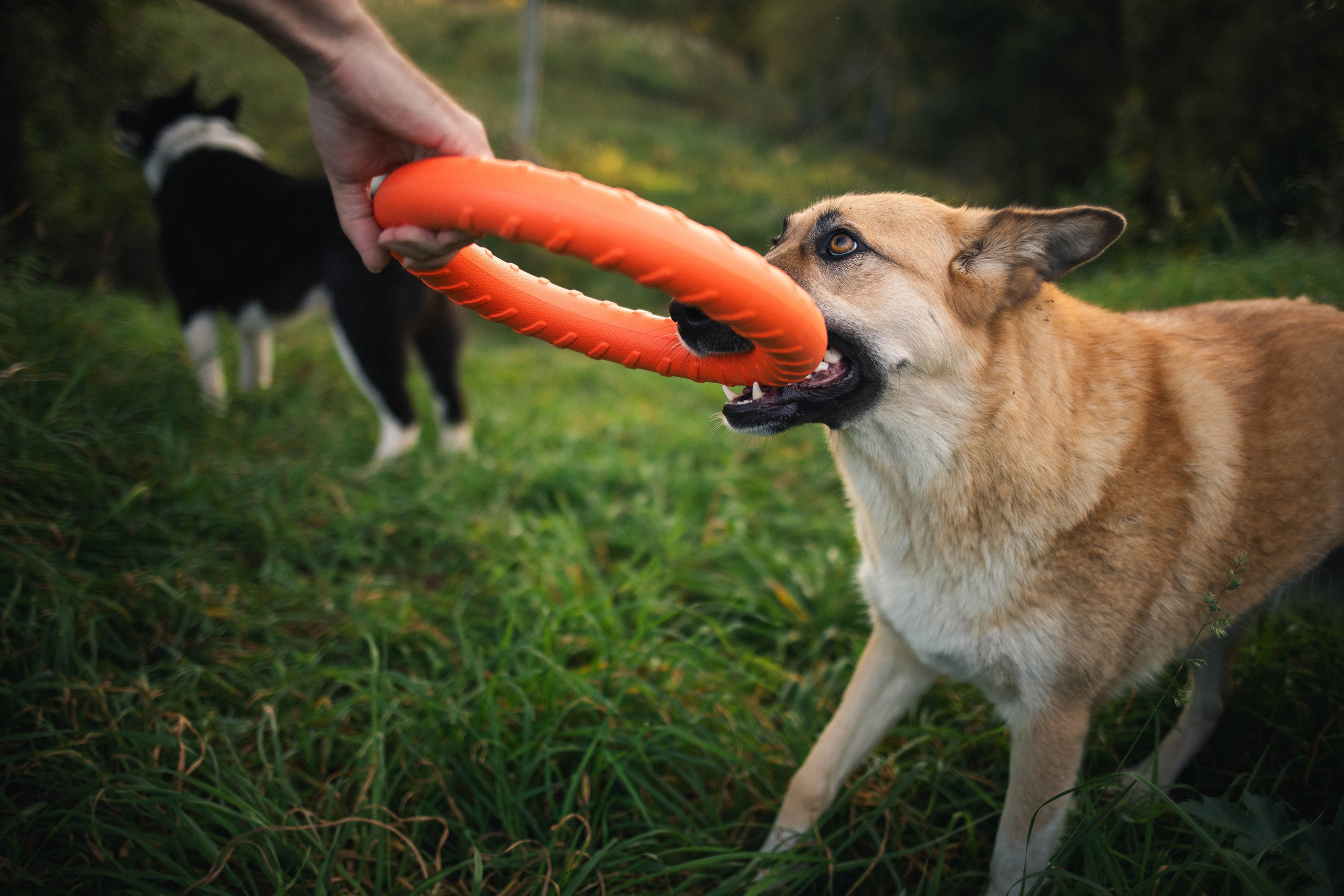 Альбом2. Фотограф Мария Сургаева | Профессиональная фотосъемка в Москве
