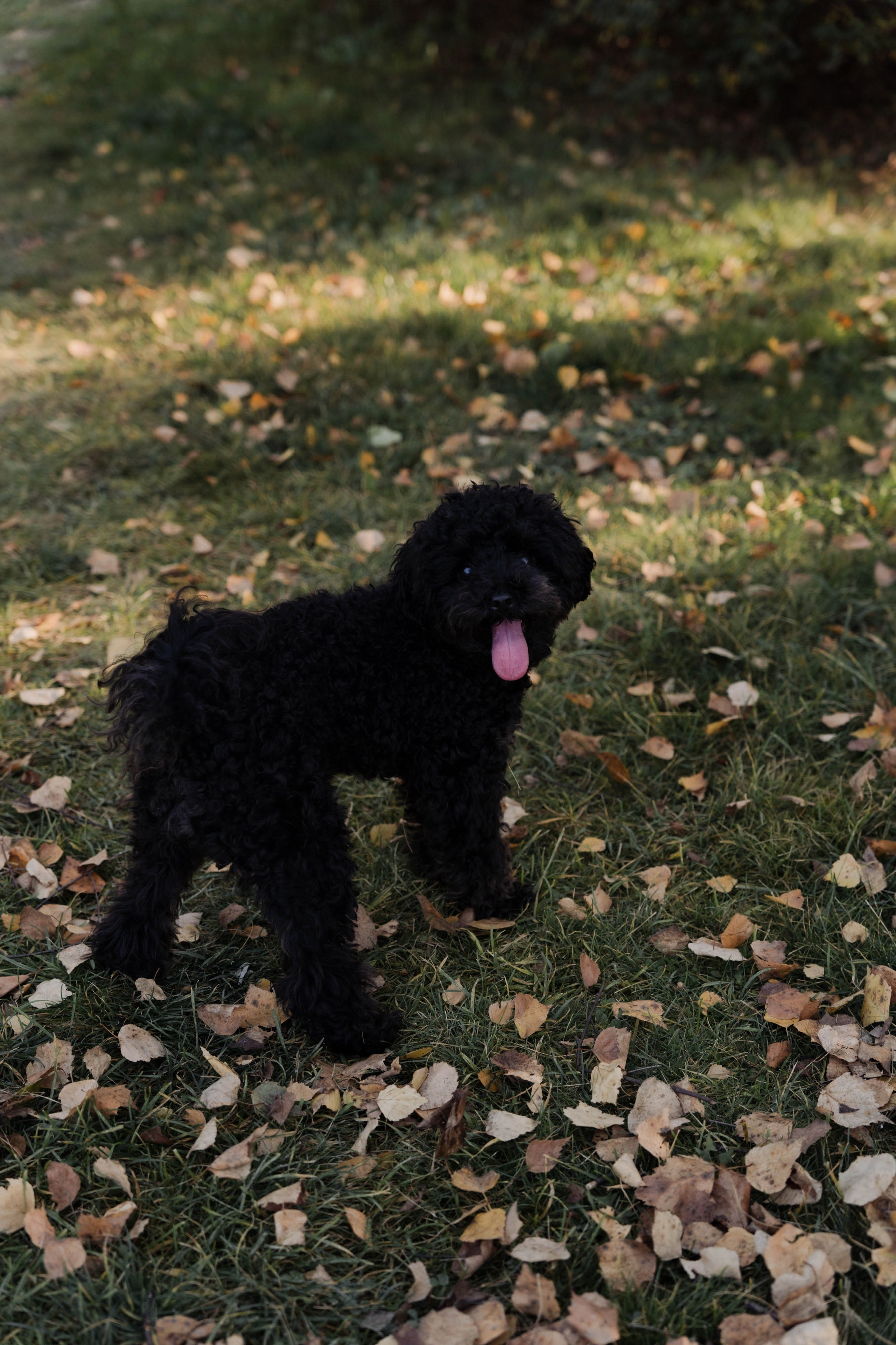 Семейные истории. ФОТОГРАФ КСЕНИЯ СОСНОВСКАЯ