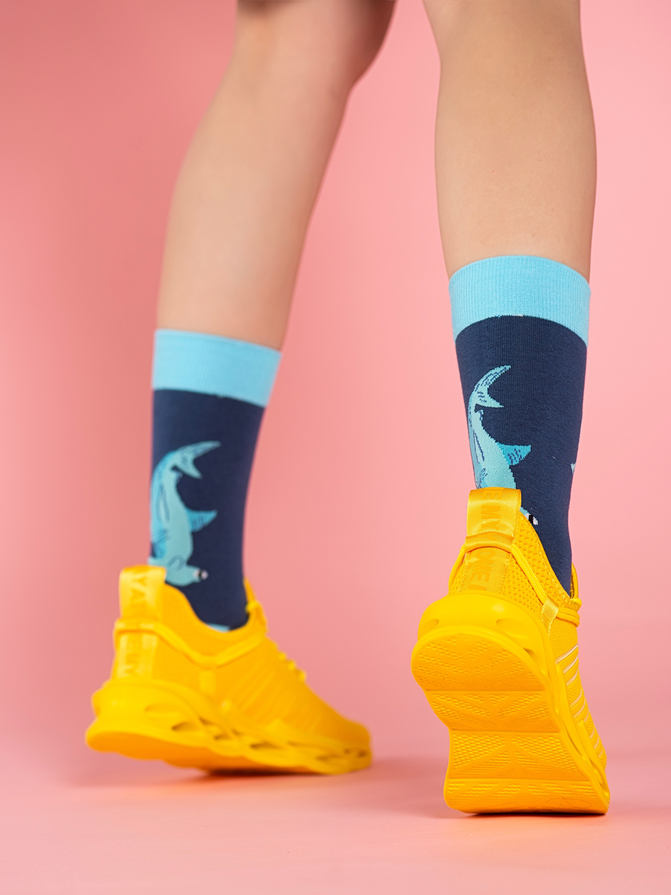 Каталог. Фотограф