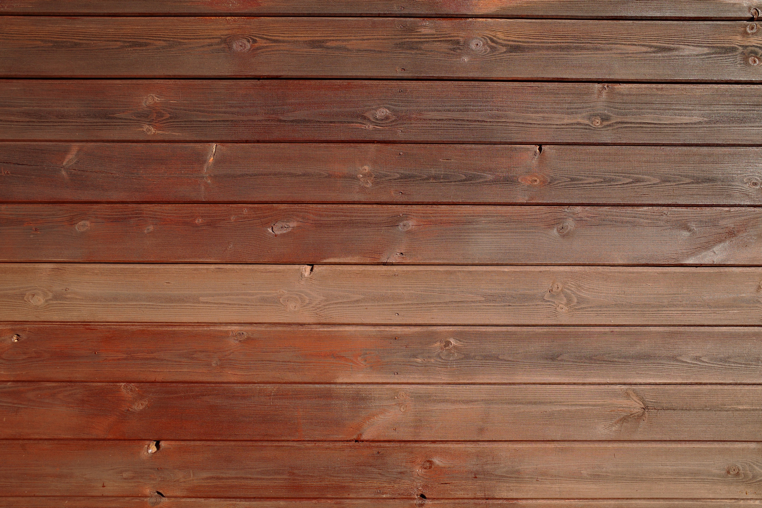 Галерея Ricoh GR3 HDF. Константин Устинов — фотограф