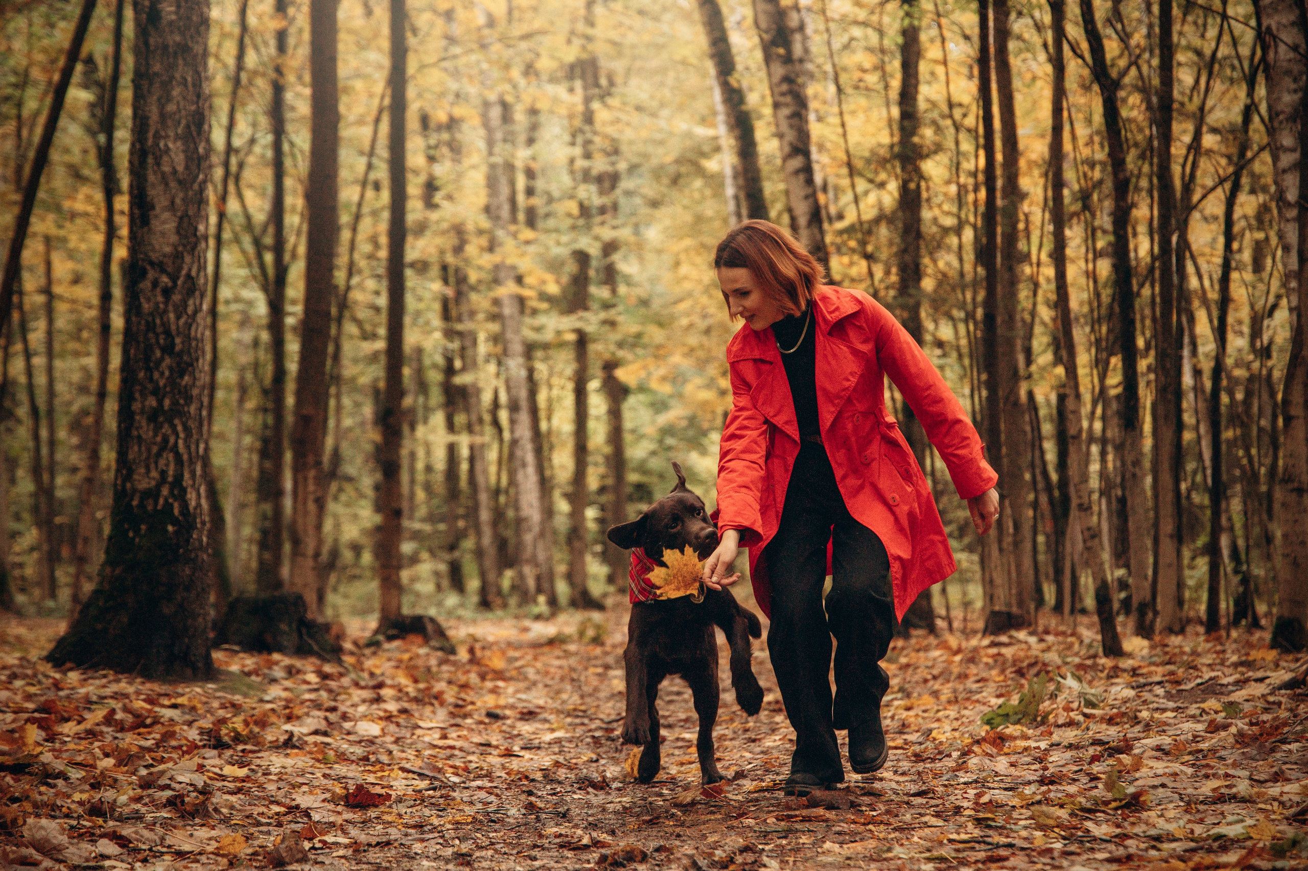 Арина и Сэмми. Фотограф — Анималист | Санкт-Петербург