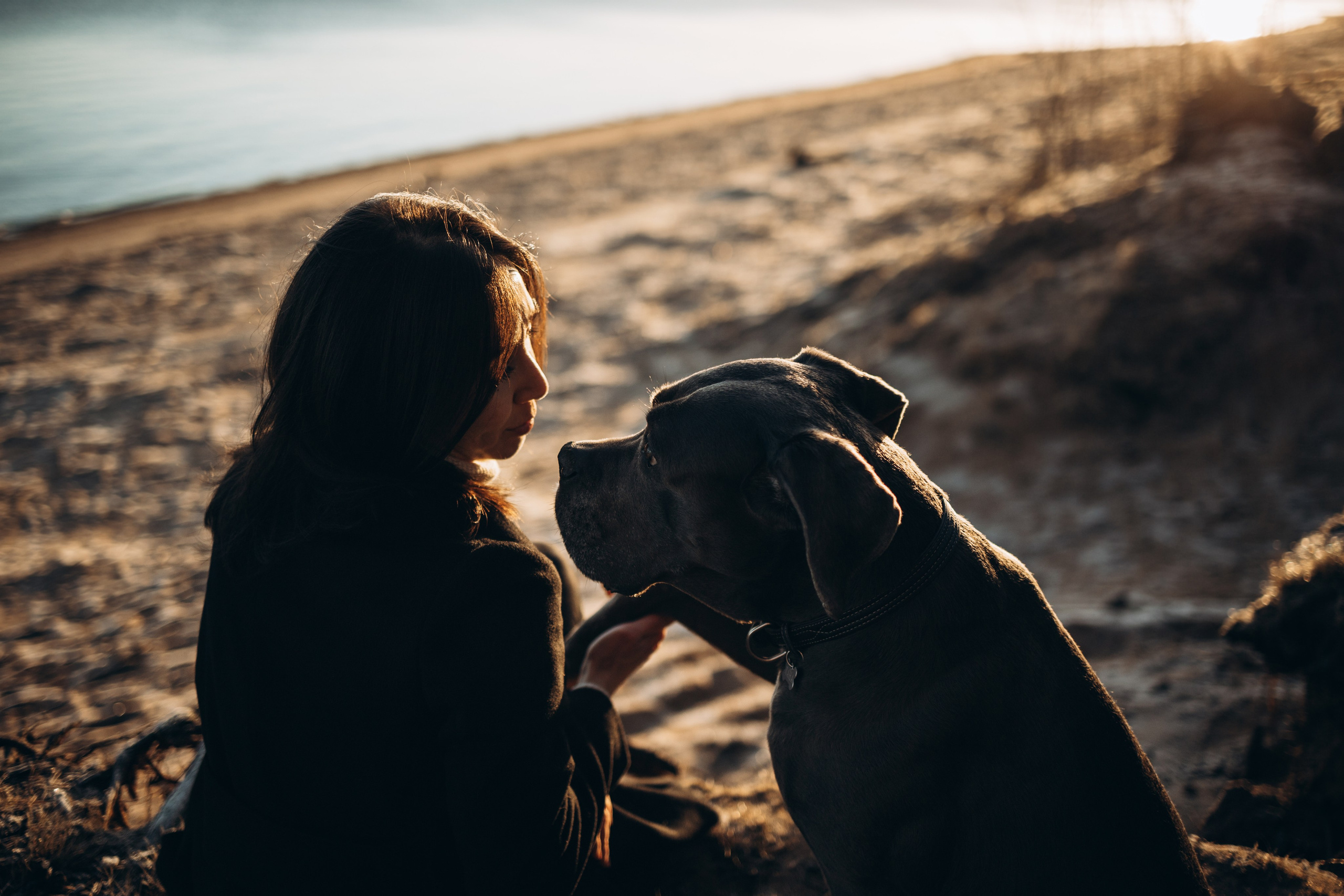 Анна и Лана. Фотограф — Анималист | Санкт-Петербург