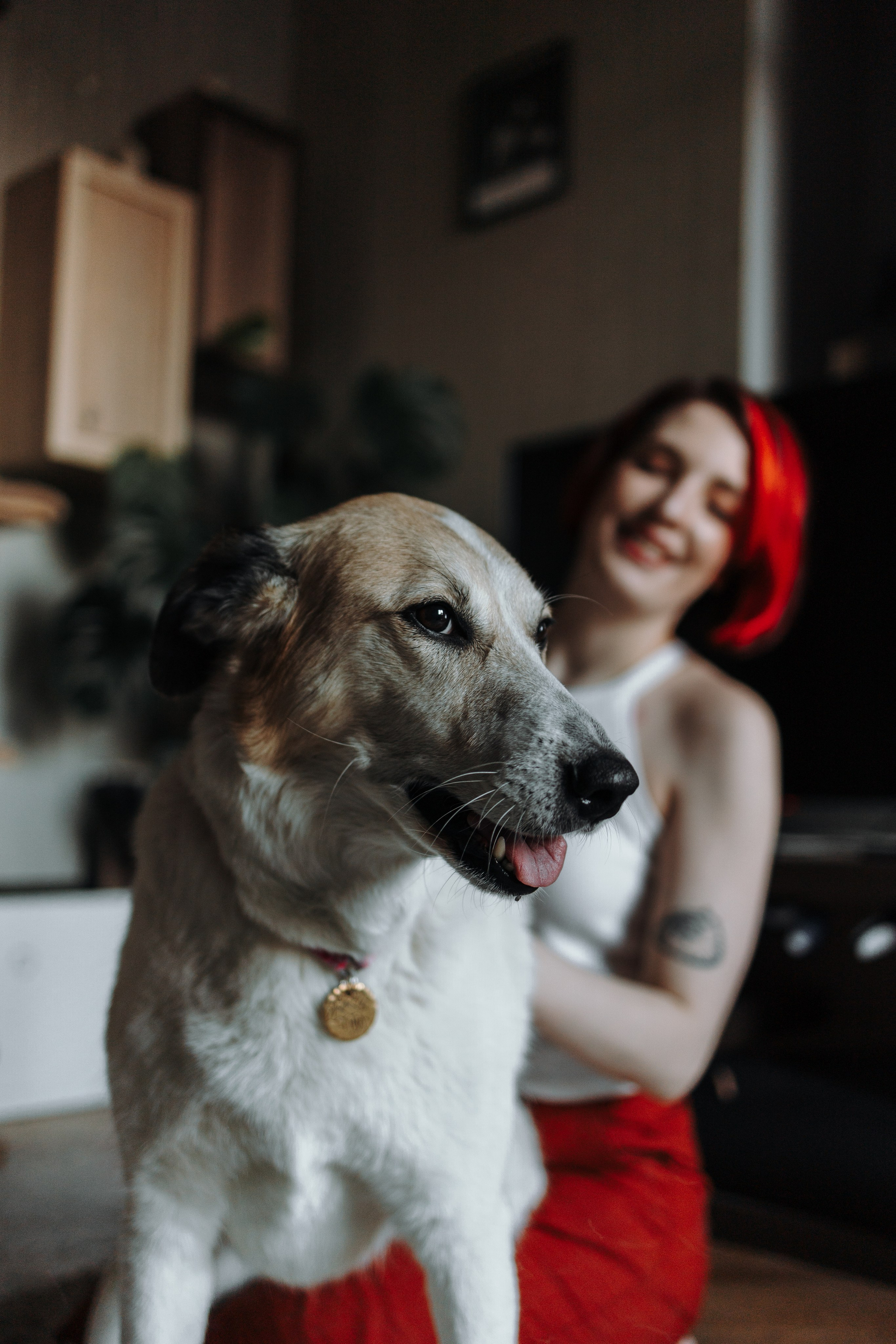 Саша и ее хвосты. Фотограф — Анималист | Санкт-Петербург