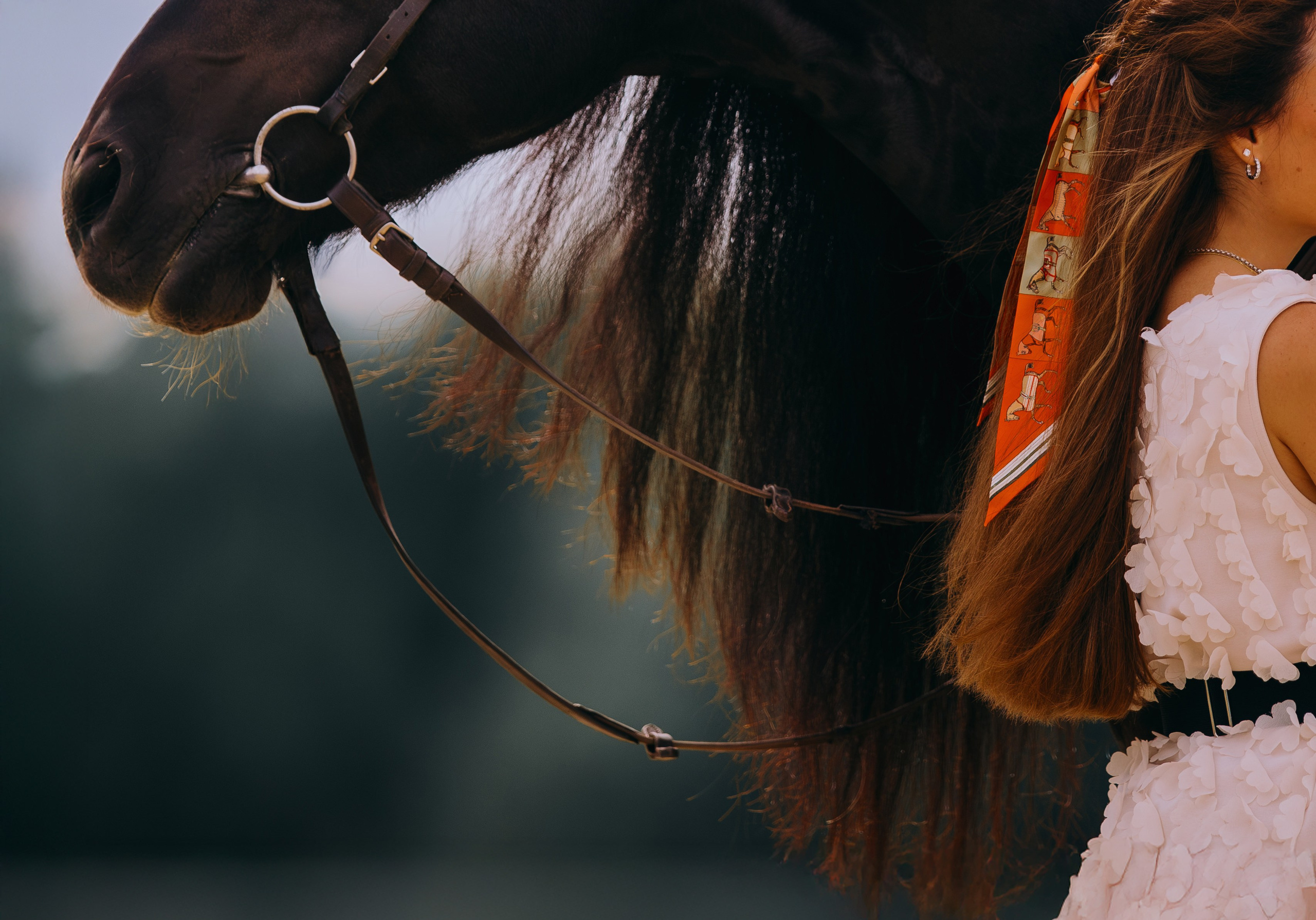 Лена и Брабус. Фотограф-анималист Ксендзова Кристина