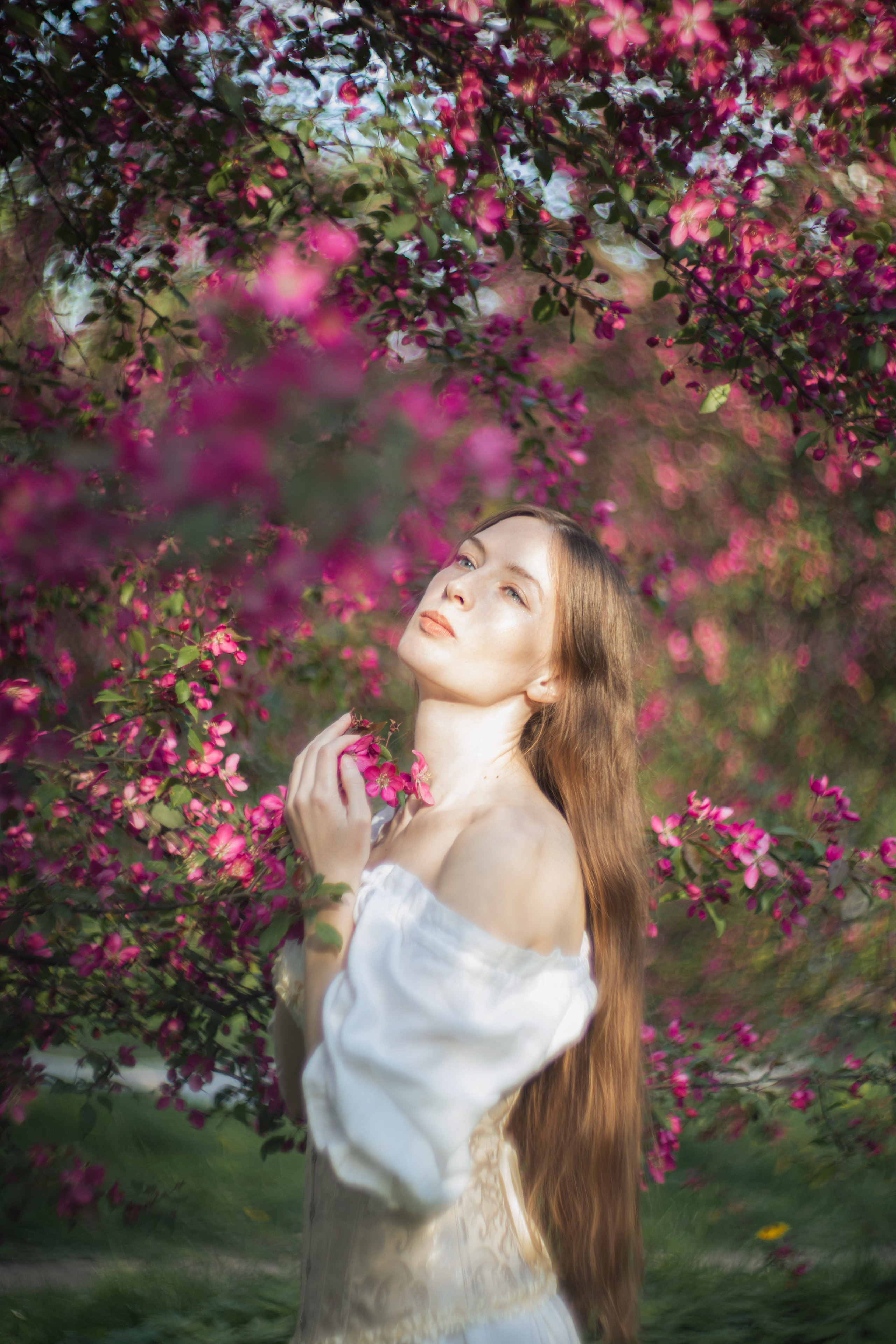 Пикник в розовых яблонях. Юлия Башкатова, сказочный фотограф, Москва