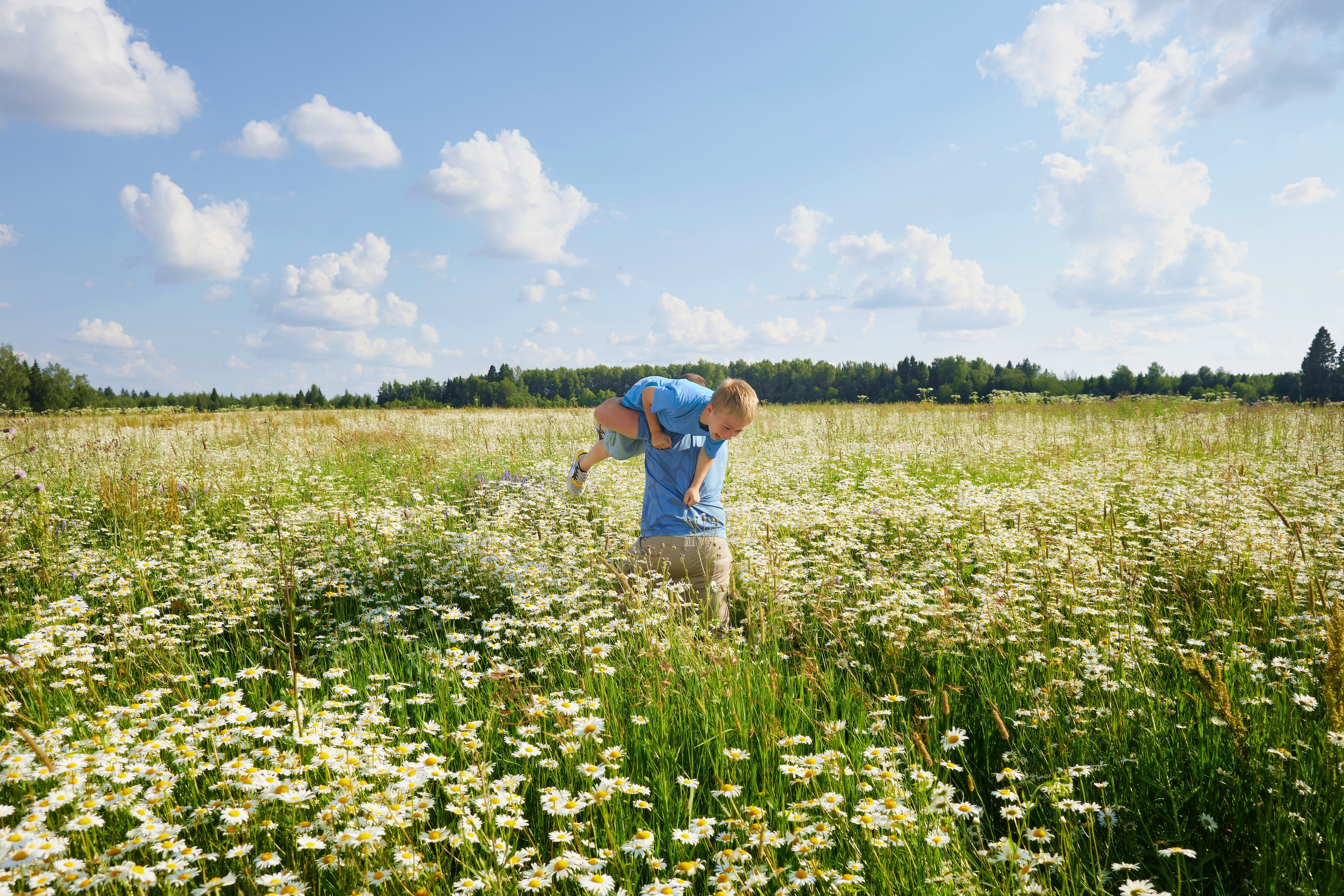 Семейная фотосессия в ромашках. Семейный и свадебный фотограф в Москве Пушкино Элеонора Янбухтина