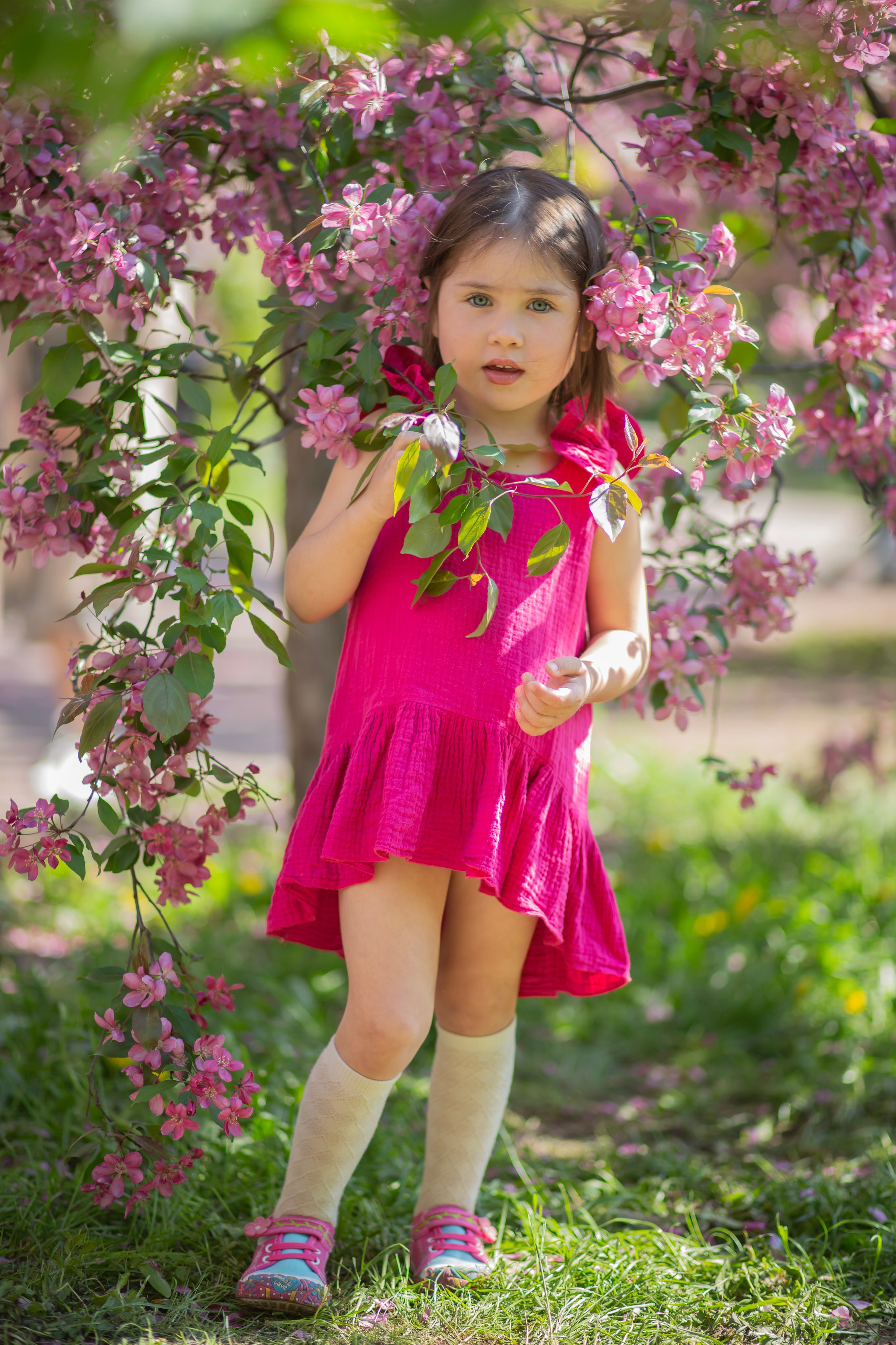 Фотопрогулка-яблони розовые. Семейный и детский фотограф в Москве и МО — Александра