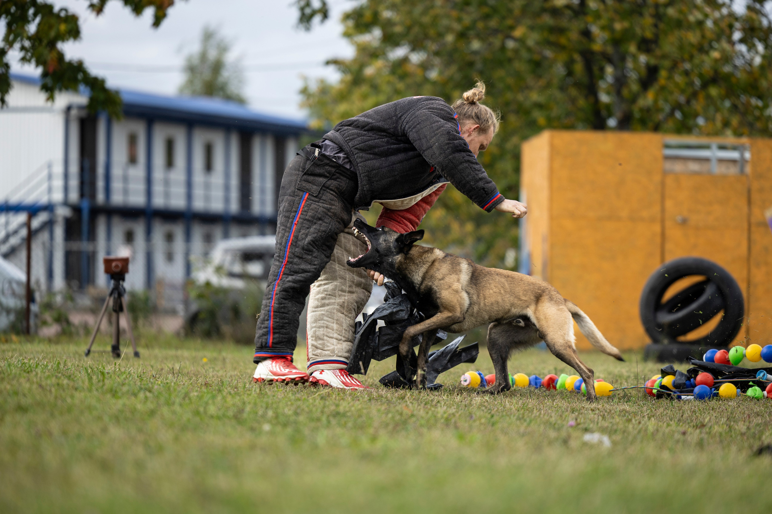 Испытания по Мондьорингу г. Пушкин. Фотограф-анималист Анна Маринич