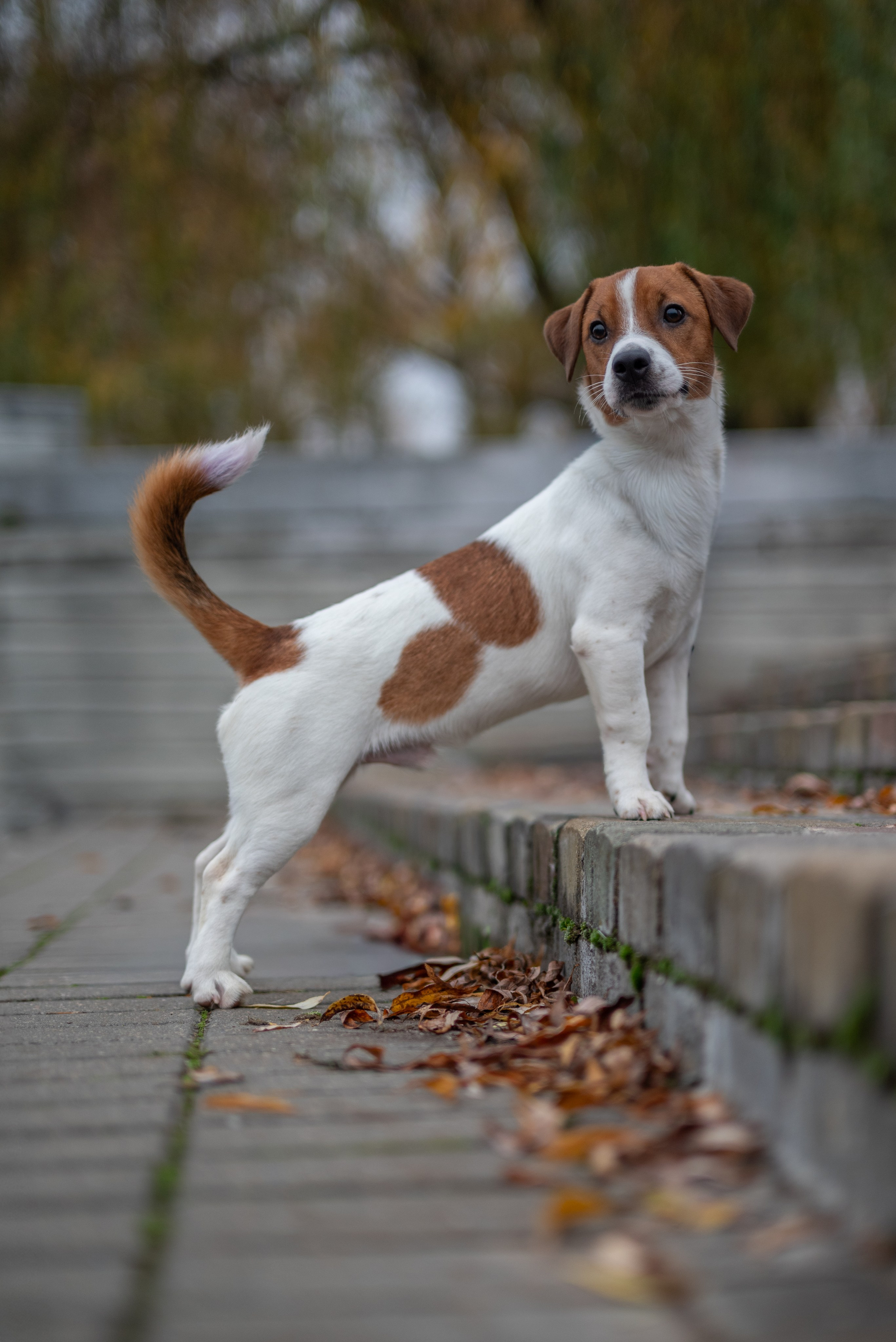 Фотосессия  - Минск