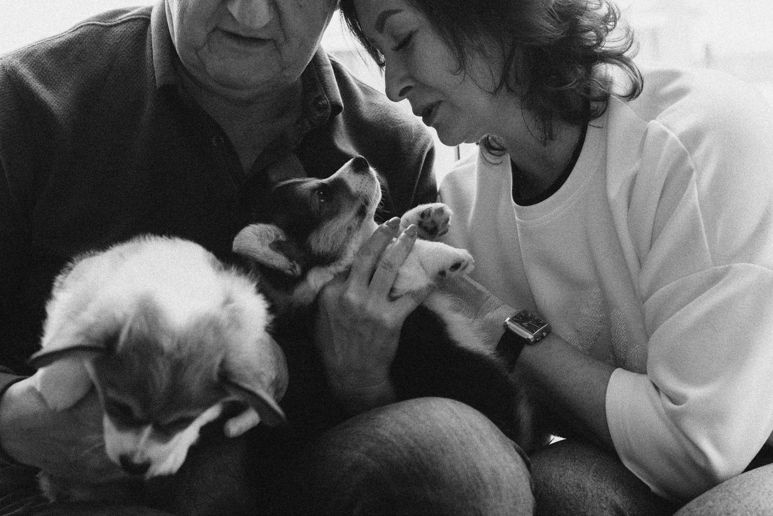 Зимний день Сергея, Софии и «хвостиков». Женский и семейный фотограф Сочи и Краснодар Ольга Маловик