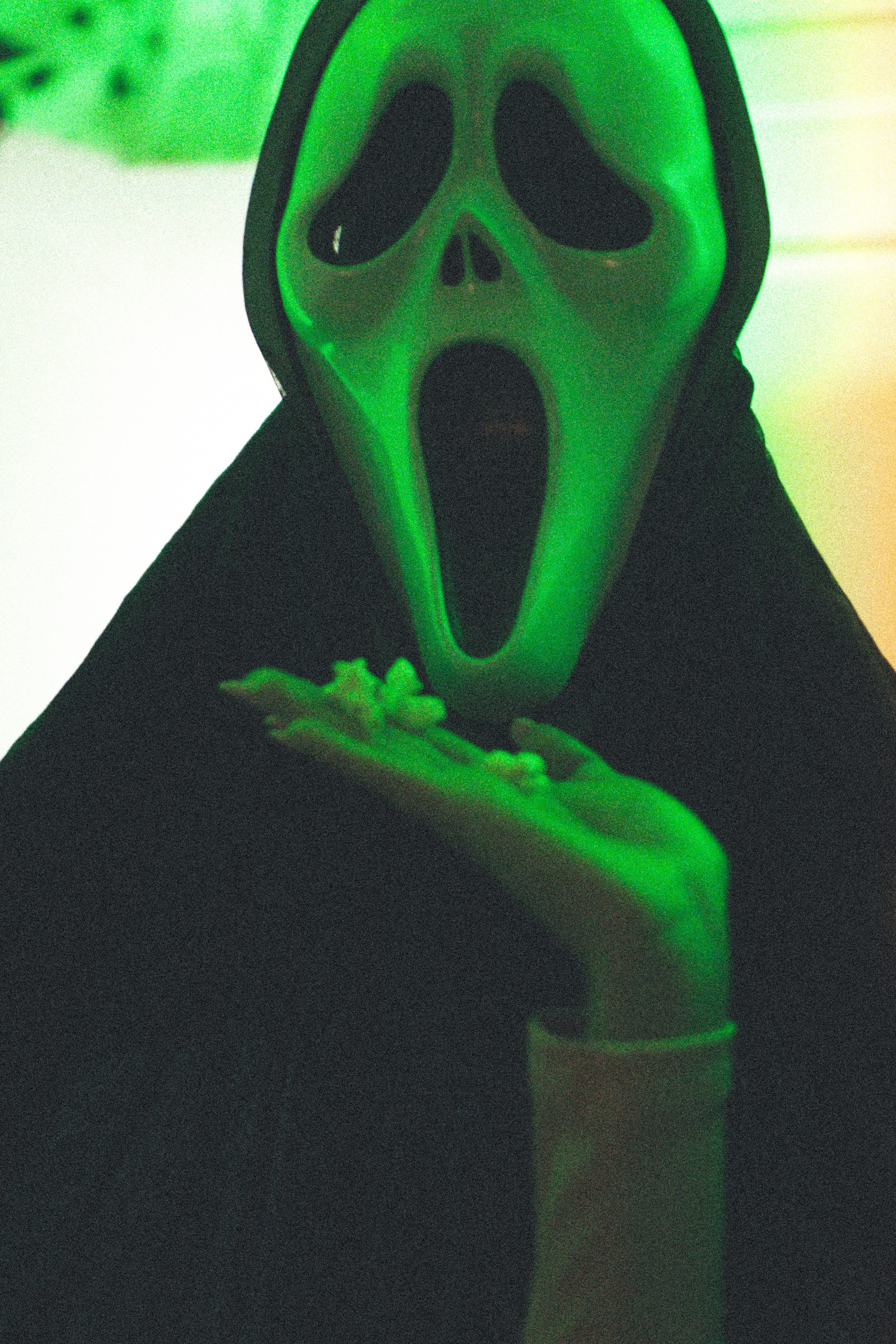 ТРЕНД ИИ. Профессиональный фотограф, Санкт-Петербург — Виктория Богомолова