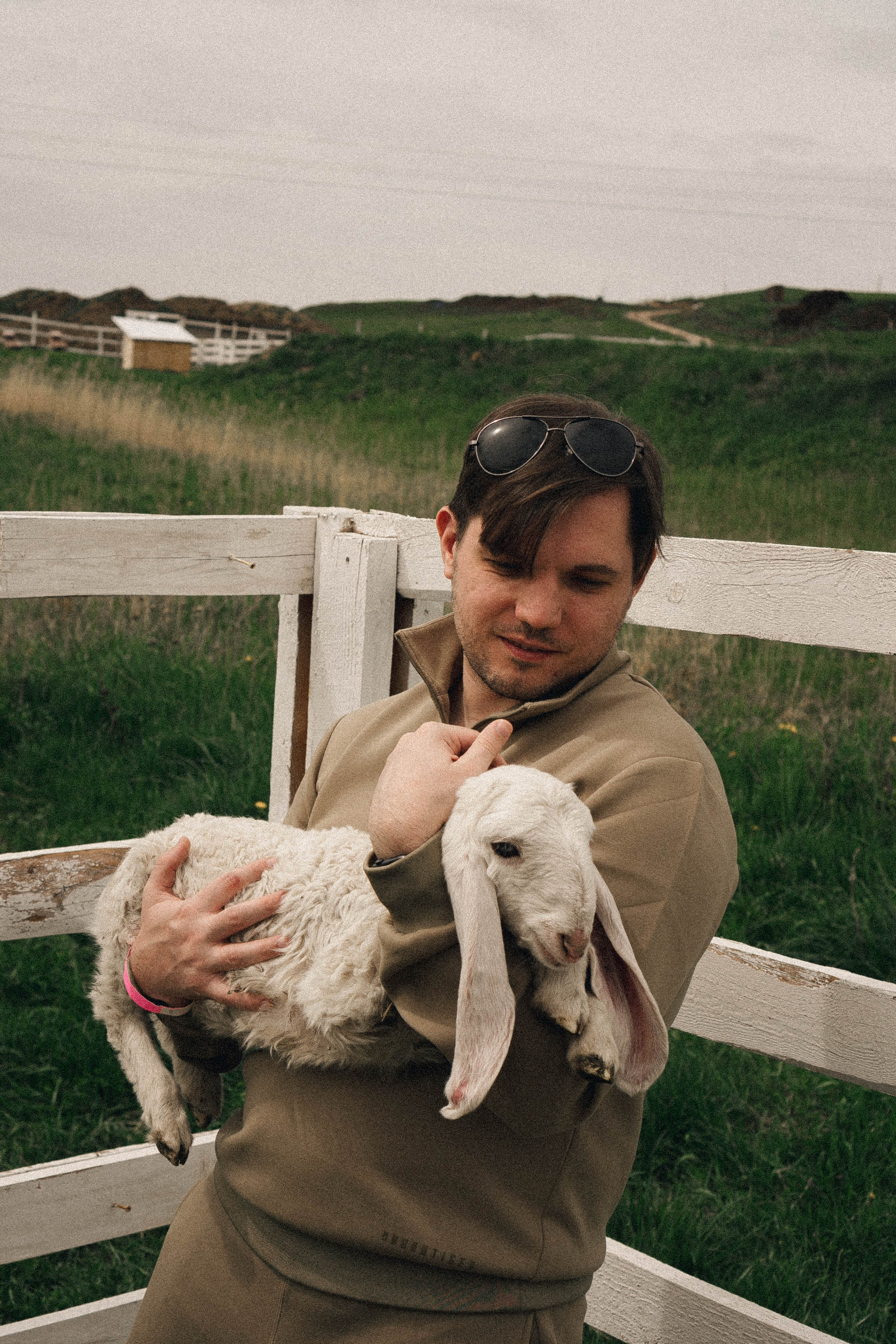 Ферма Альпак. Профессиональный фотограф, Санкт-Петербург — Виктория Богомолова