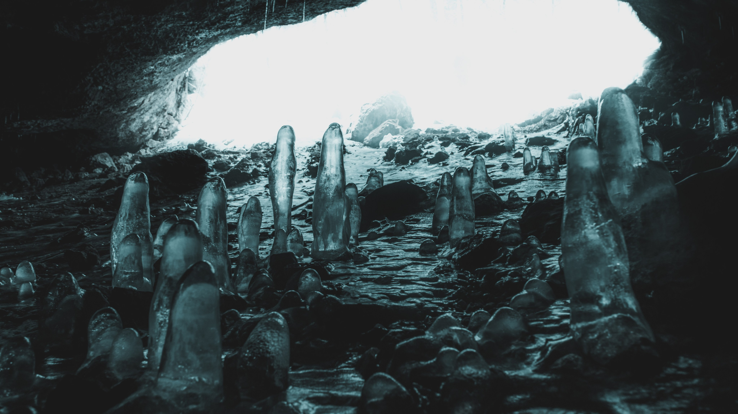 Nature. Артем Корнев Фотограф