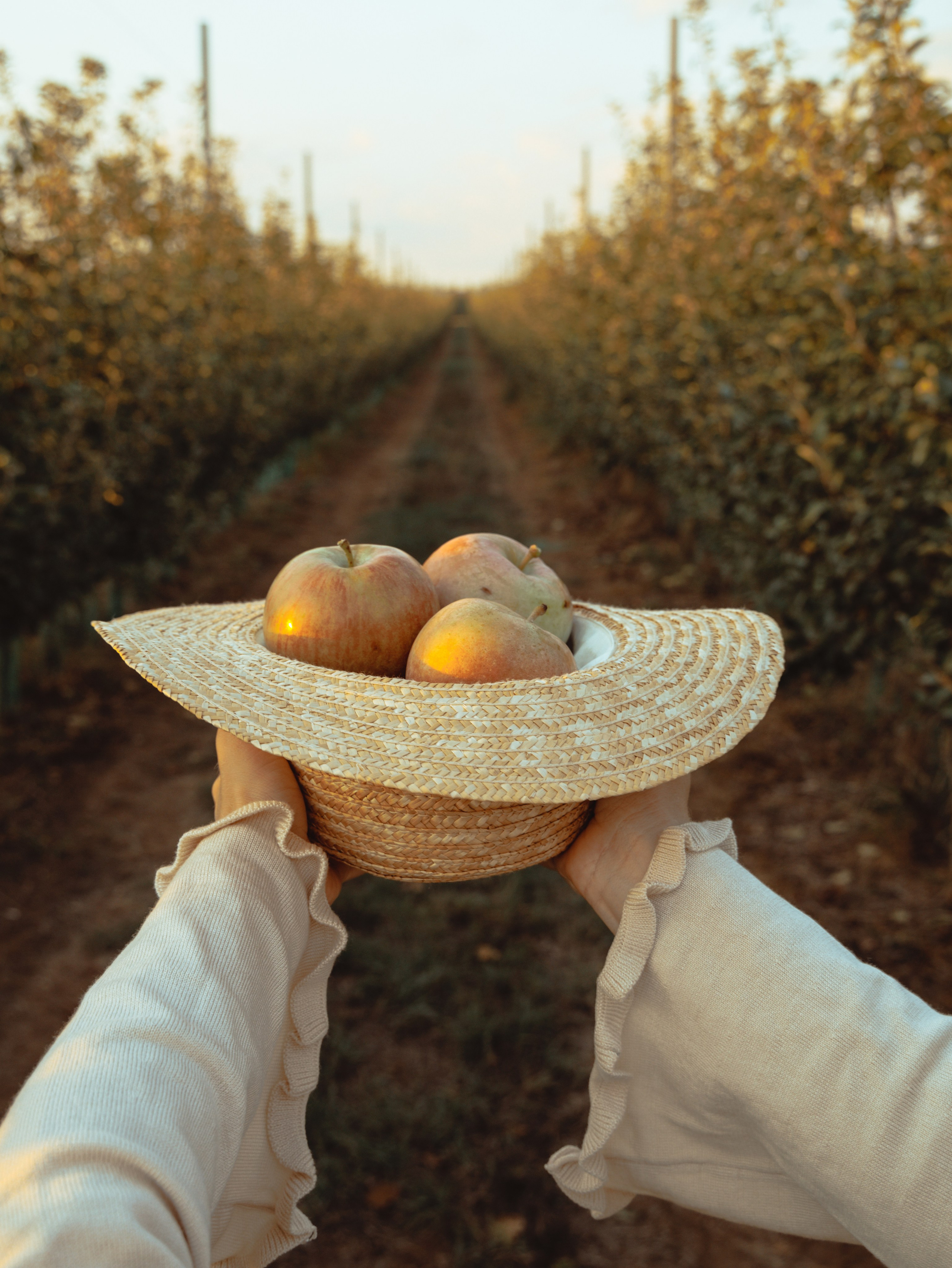 Domik в саду. Артем Корнев Фотограф