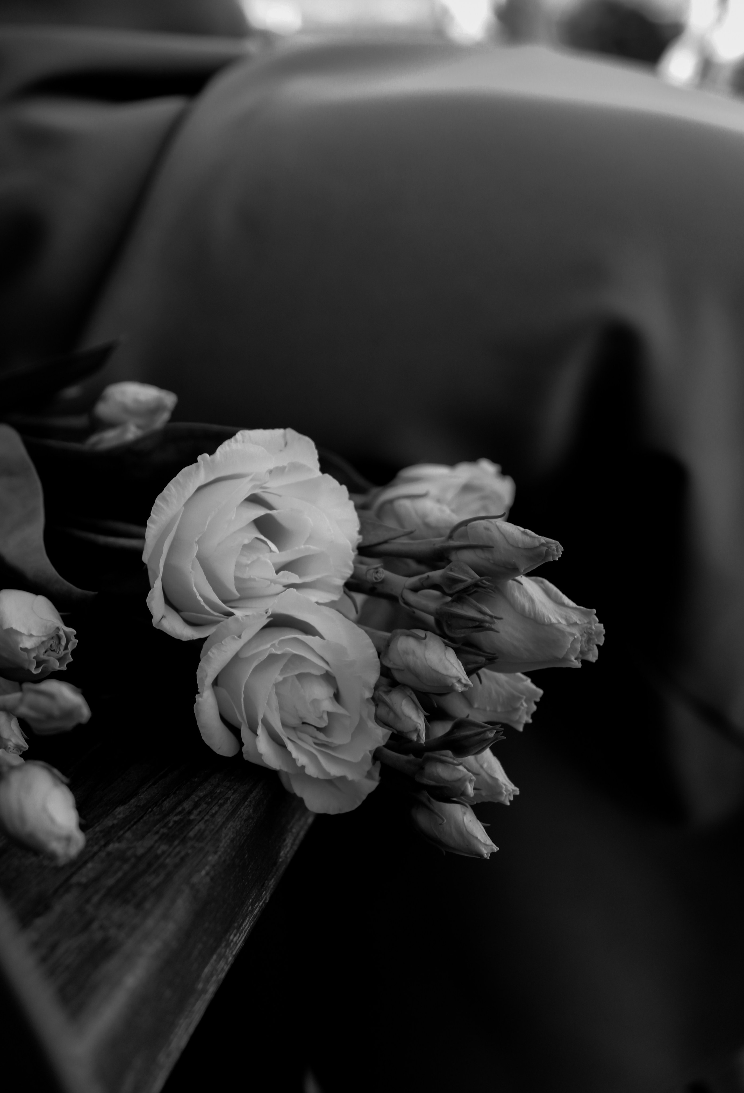 Студийное и прогулочное. LeChuPhoto_Omsk