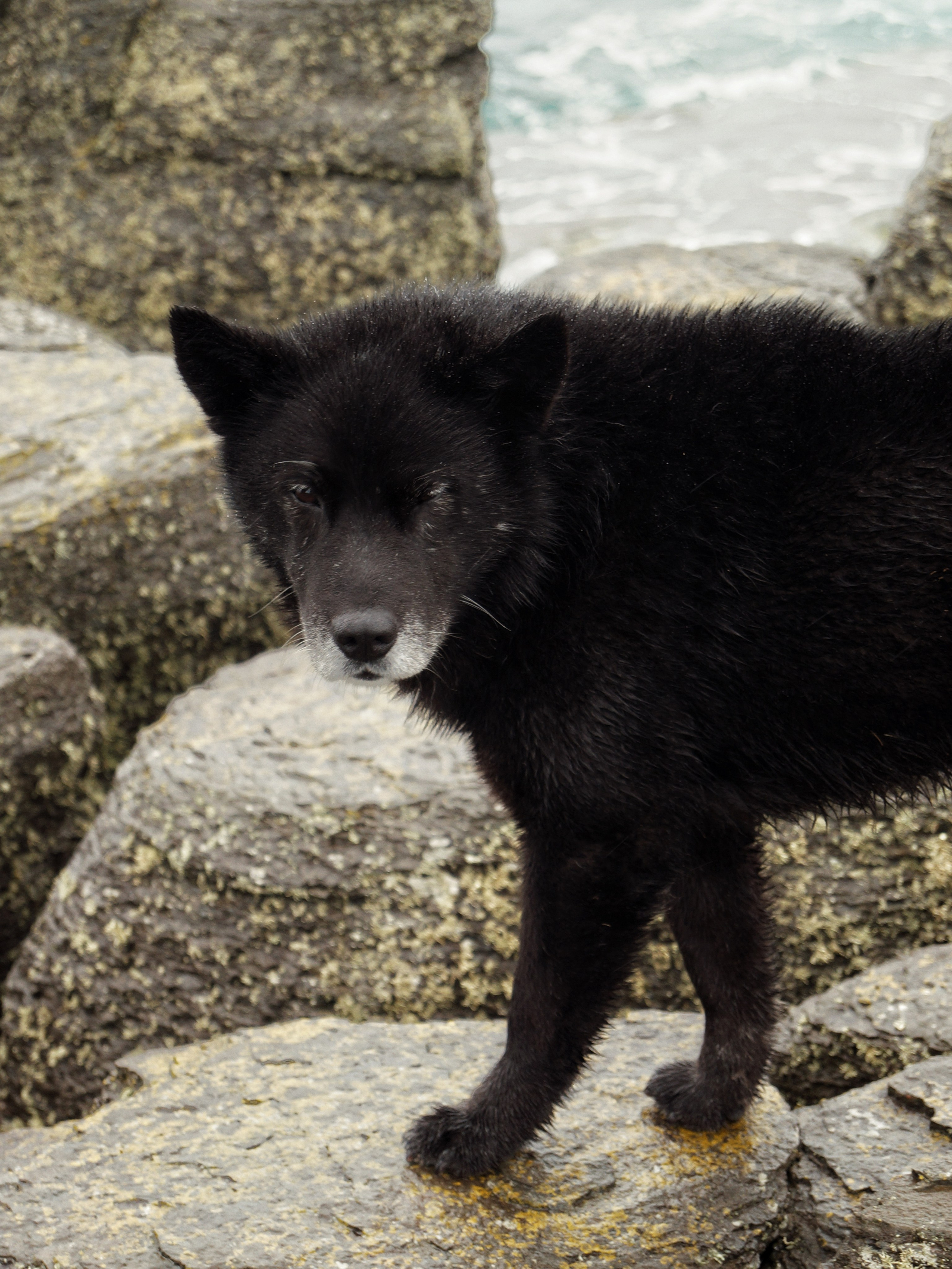 Путешествия. YUULETAAAA