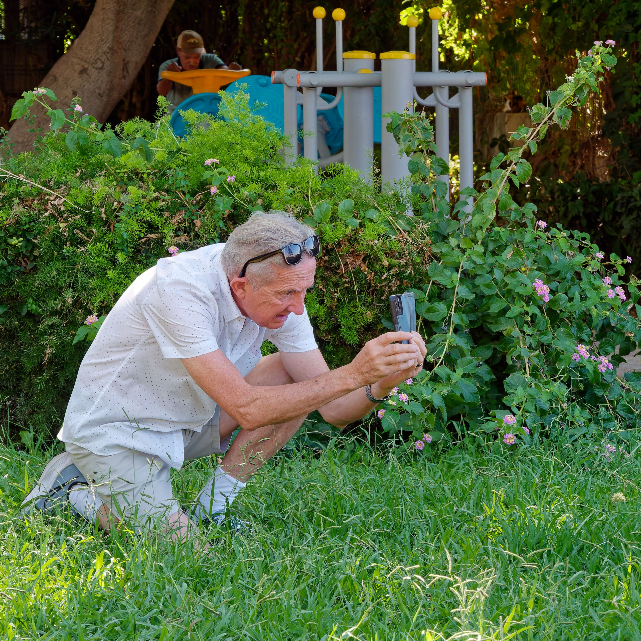 Алания 2025, город, стрит-фото. Избранные фотографии